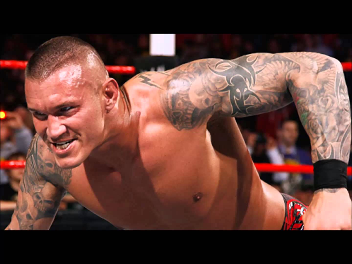 Buy 500 LEVEL Randy Orton WWE Shirt - Randy Orton Pose Online at  desertcartINDIA