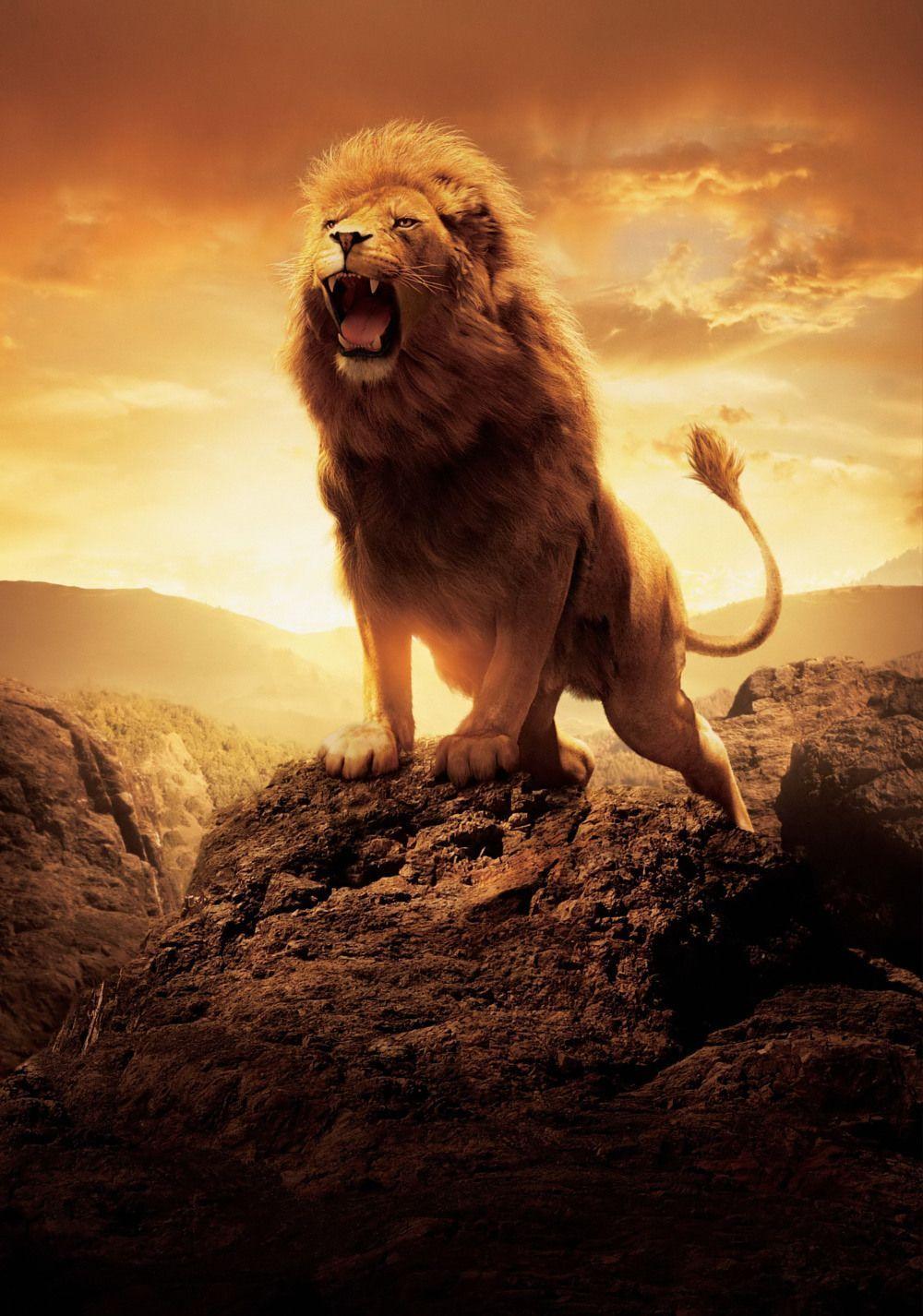 Promotional art of Aslan roaring for The Chronicles of Narnia