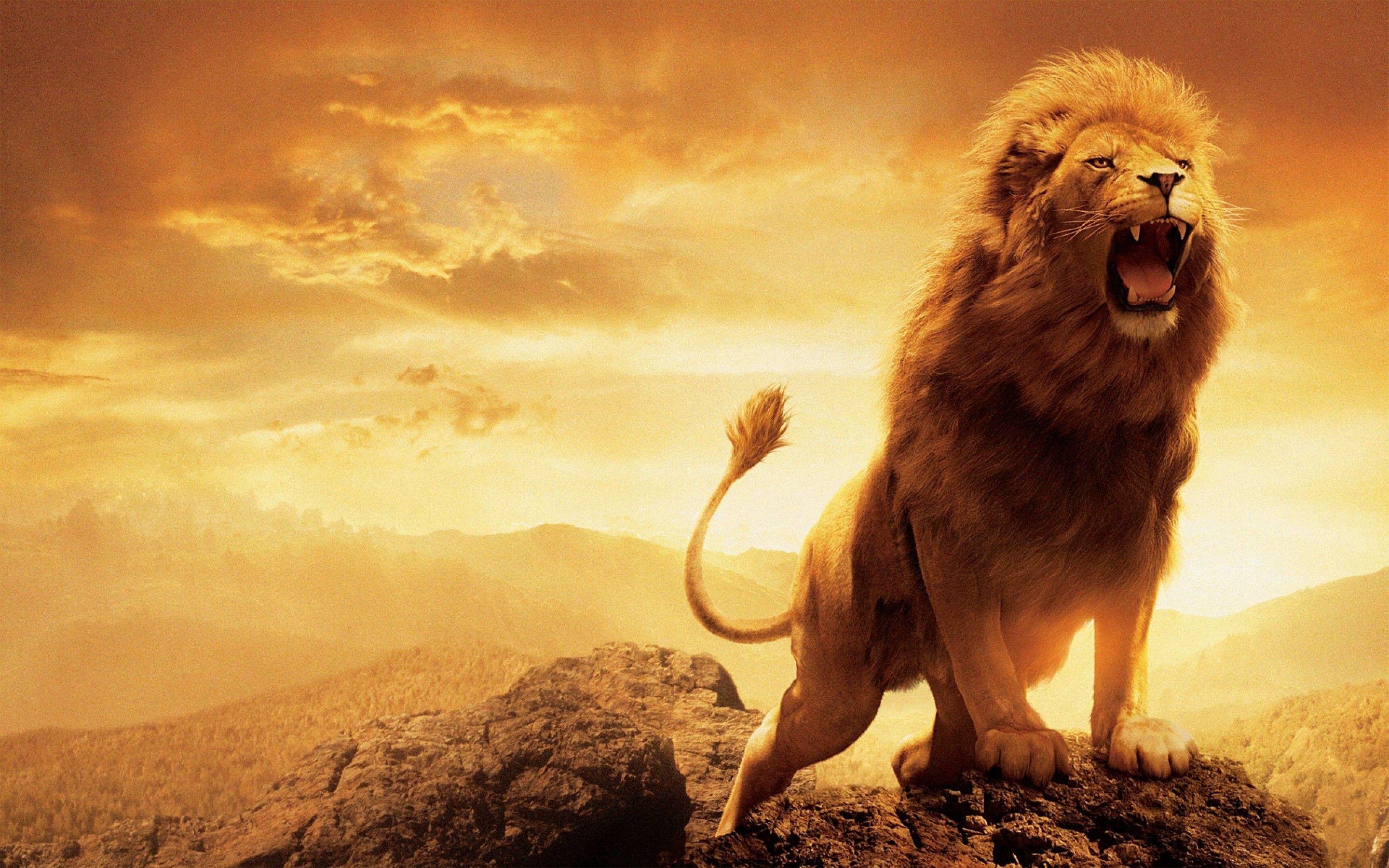 Narnia, aslan roaring HD wallpaper