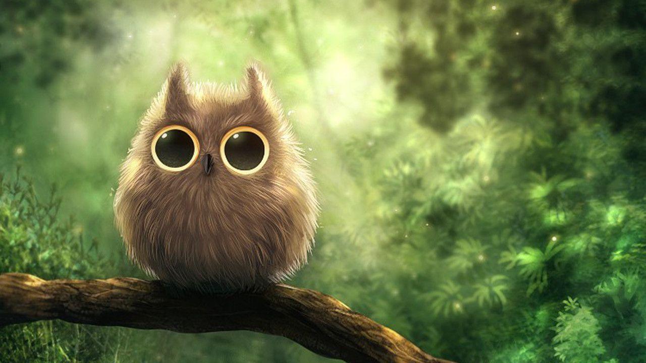 Cute Cartoon Owl Wallpaper Wpt8403500