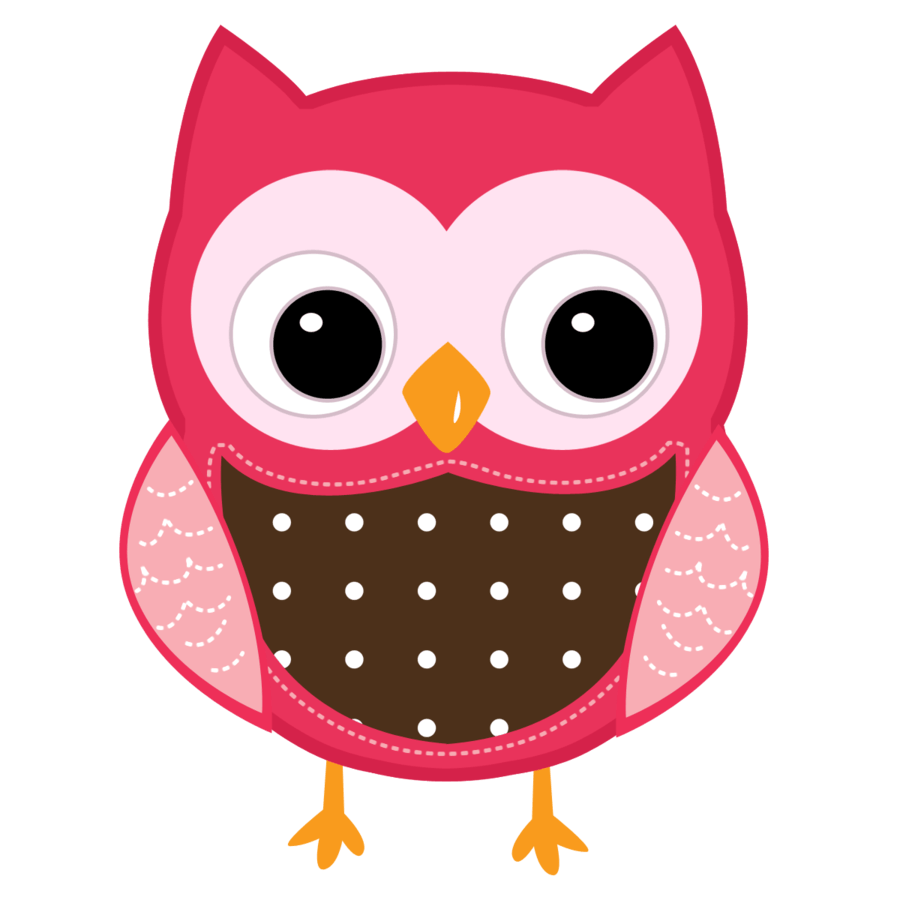 Colorful Cartoon Owl Image Is 4K Wallpaper