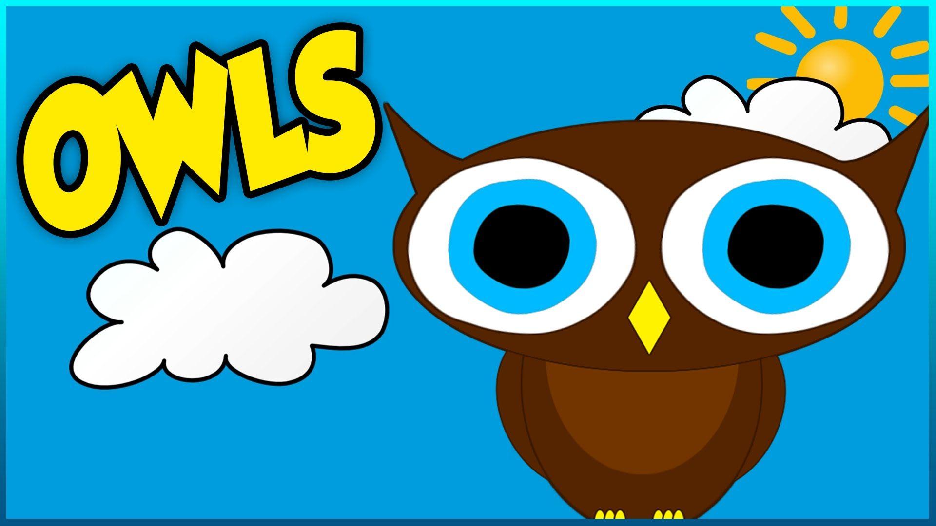 All About Owls Video For Kids, Toddlers and Babies