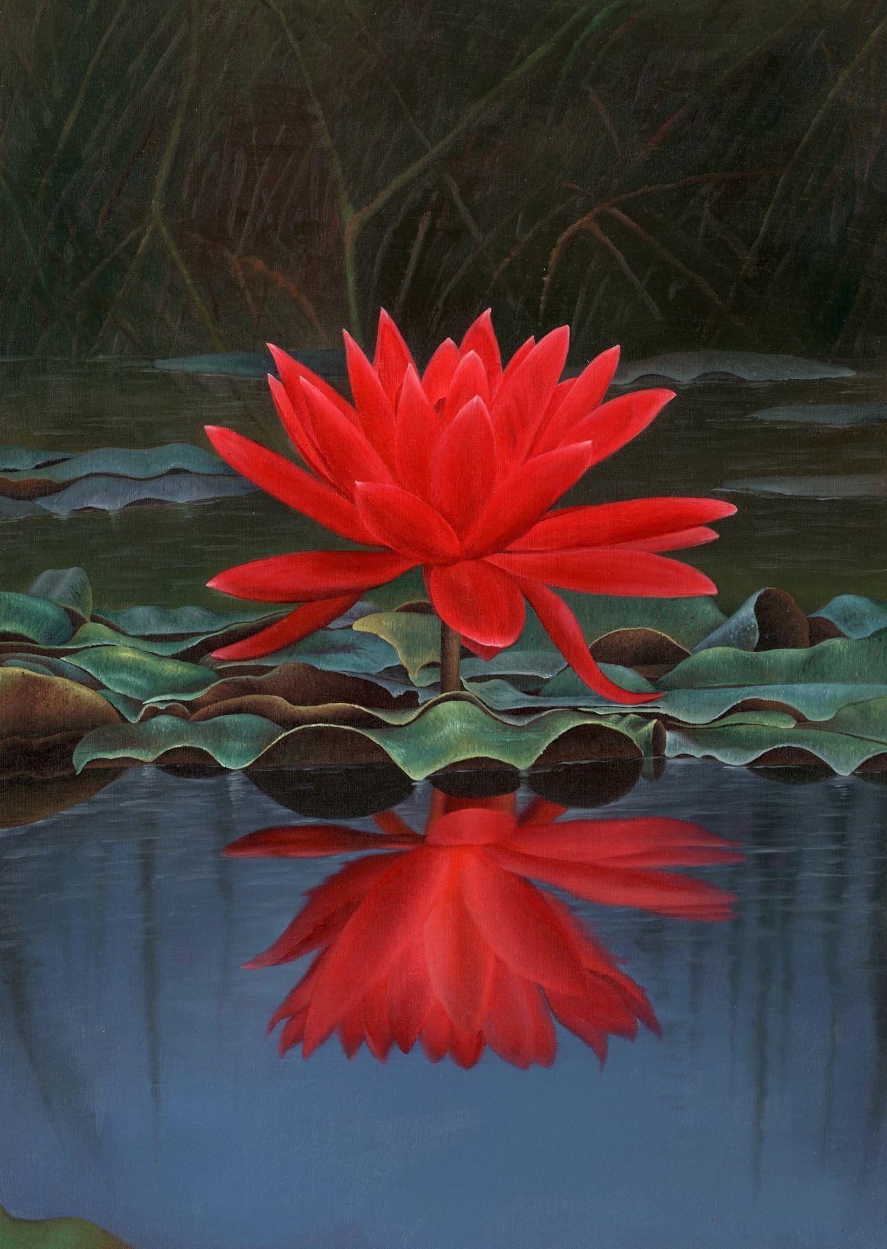 exotic flower photo free. Exotic Red Lotus Flower Free Wallpaper