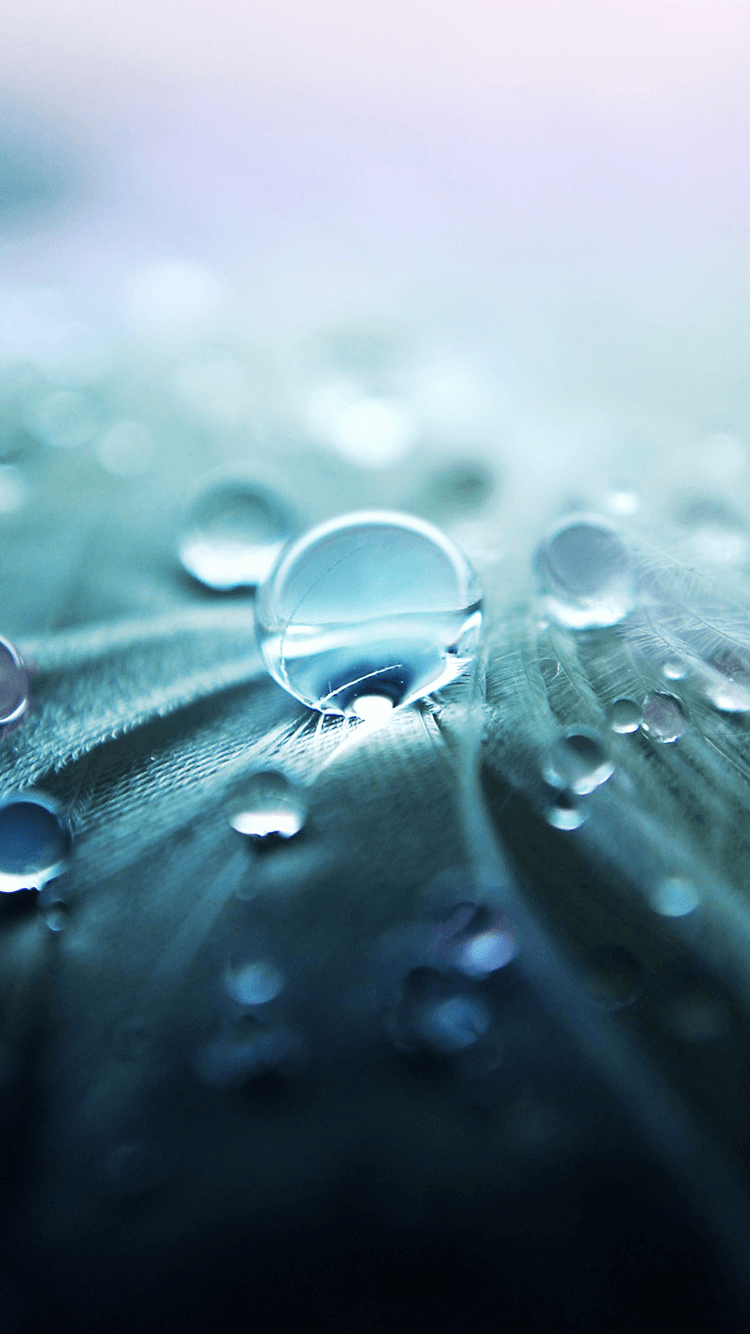 Water Droplet Nature Wallpaper Iphone 6.png (750×1334). Çizim