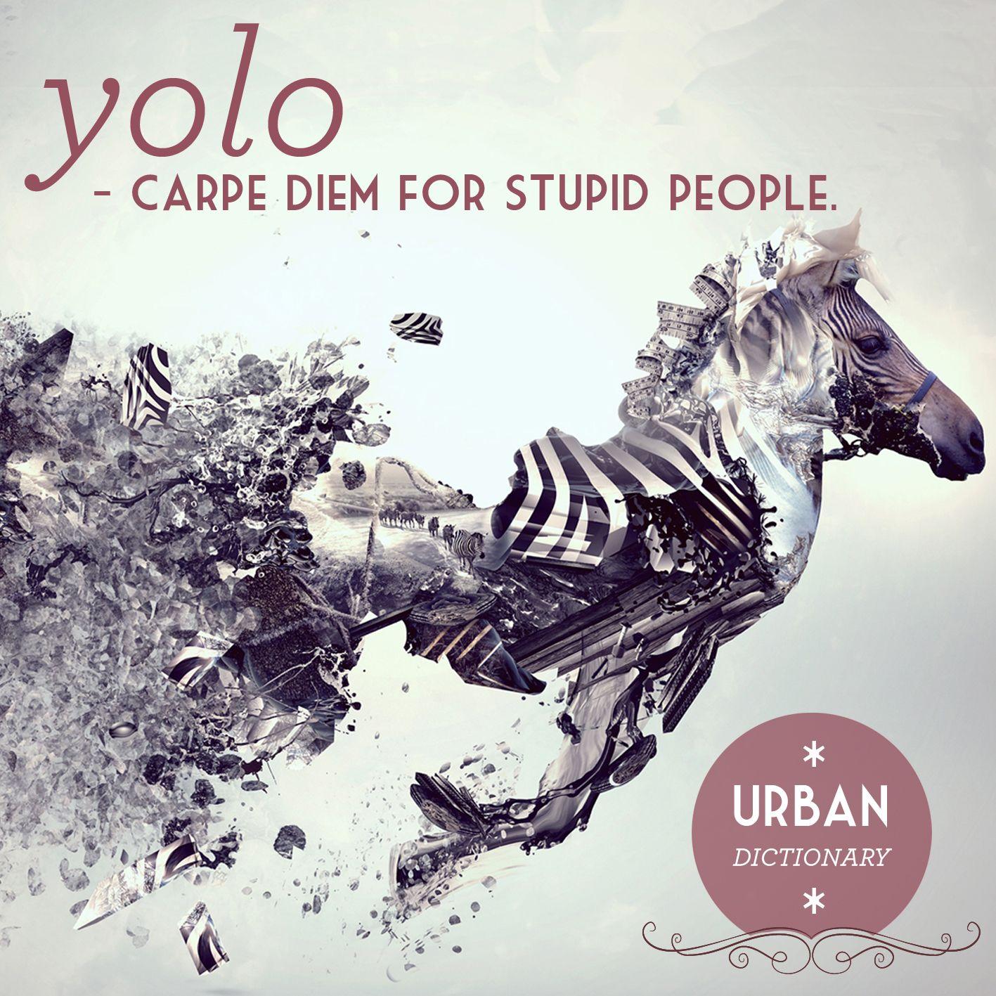 yolo #urban #dictionary #meaning #funny. Urban Dictionary