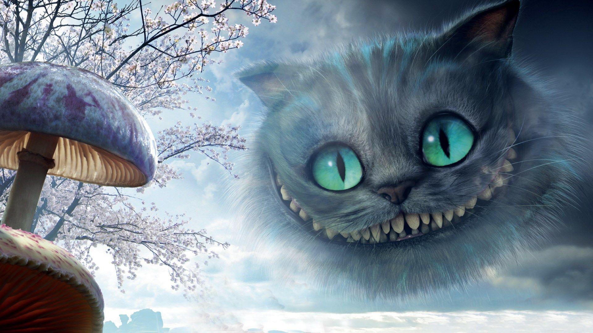 cheshire cat wallpaper HD background image