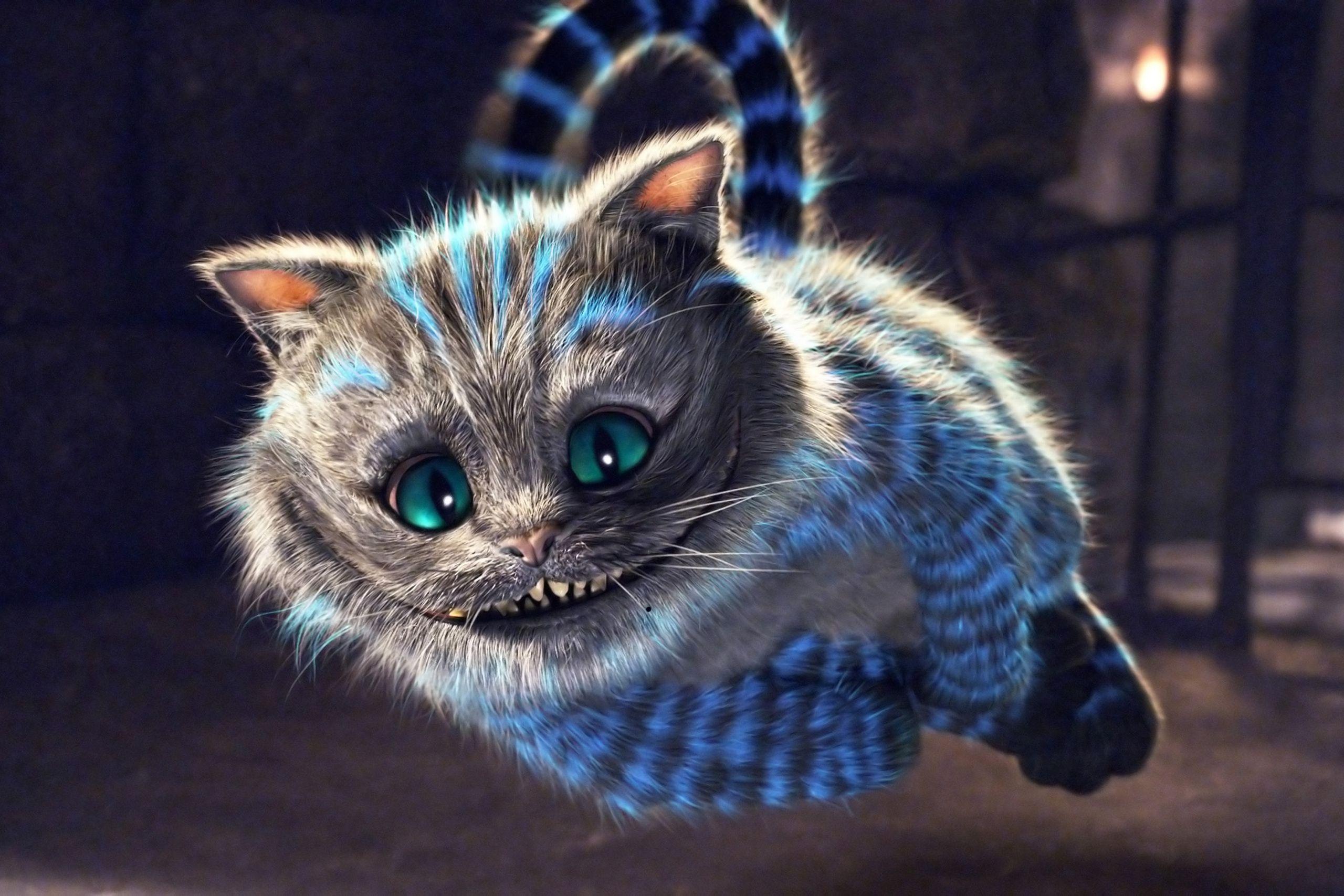 RenneRocksclub image The cheshire cat HD wallpaper and background