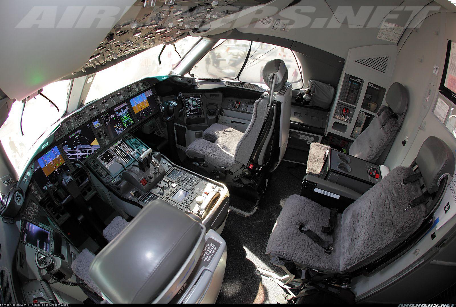 Boeing 787 8 Dreamliner. Aviation Photo