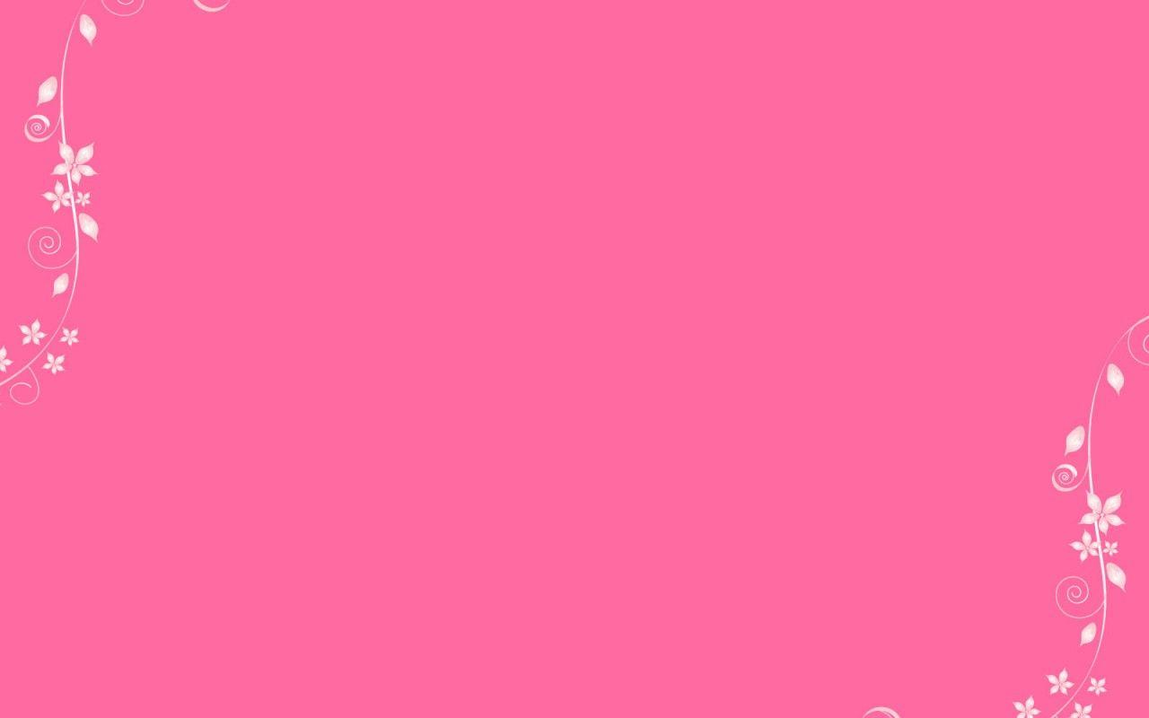 27 Background  Warna  Pink  Muda Polos Koleksi Rial