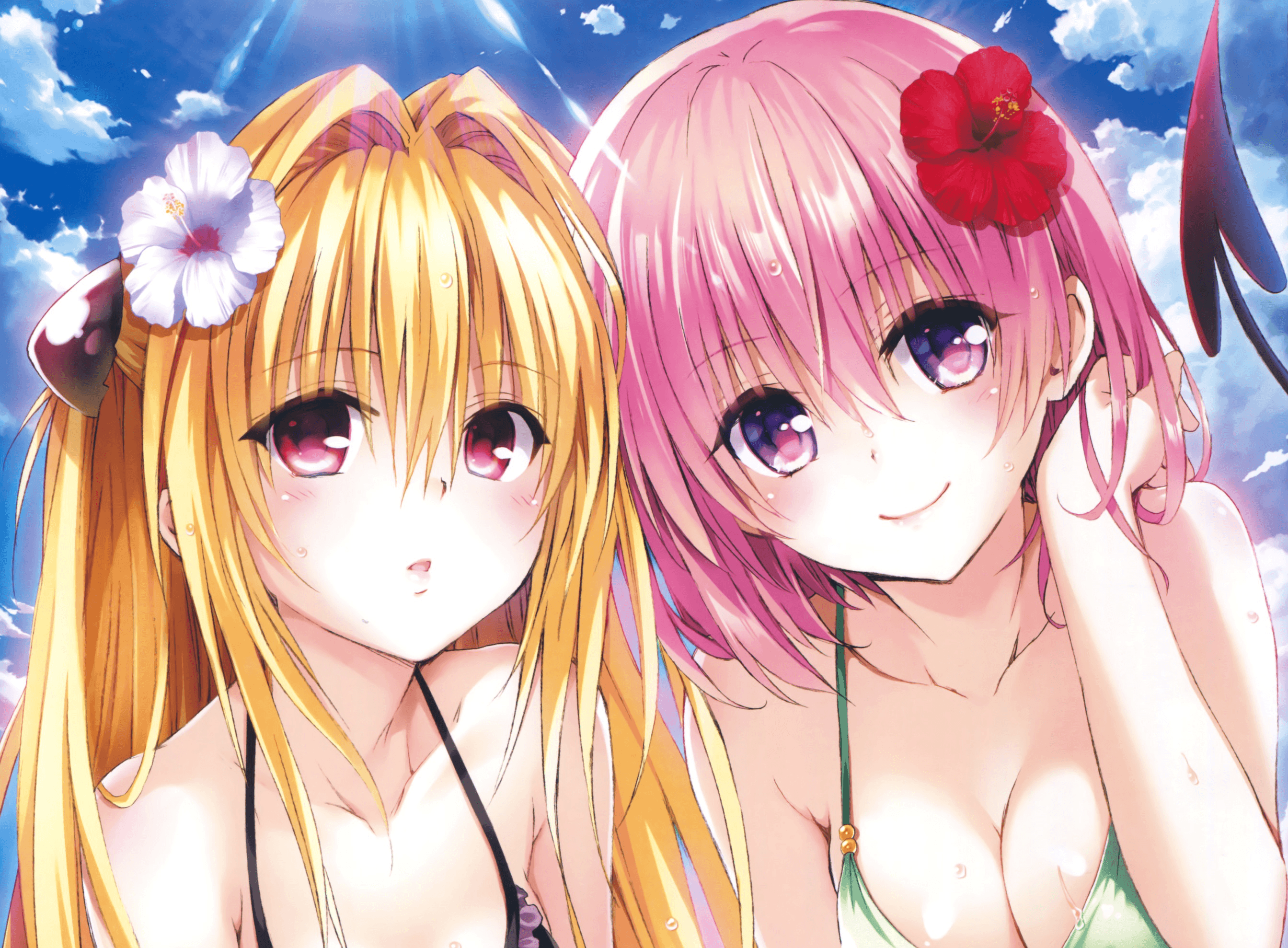 To Love Ru HD Wallpaper