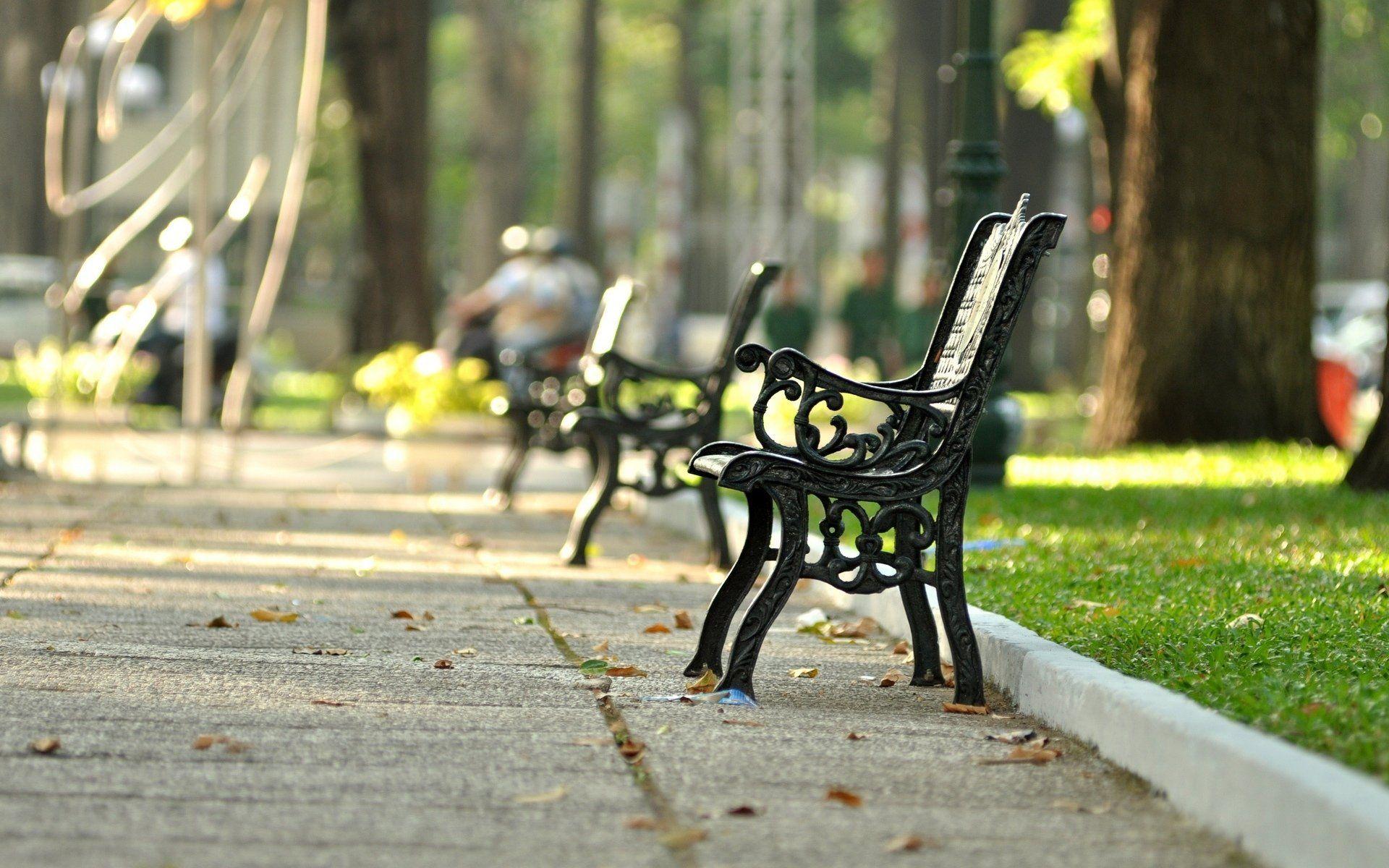 mood bench shop park square grass green leaves street background