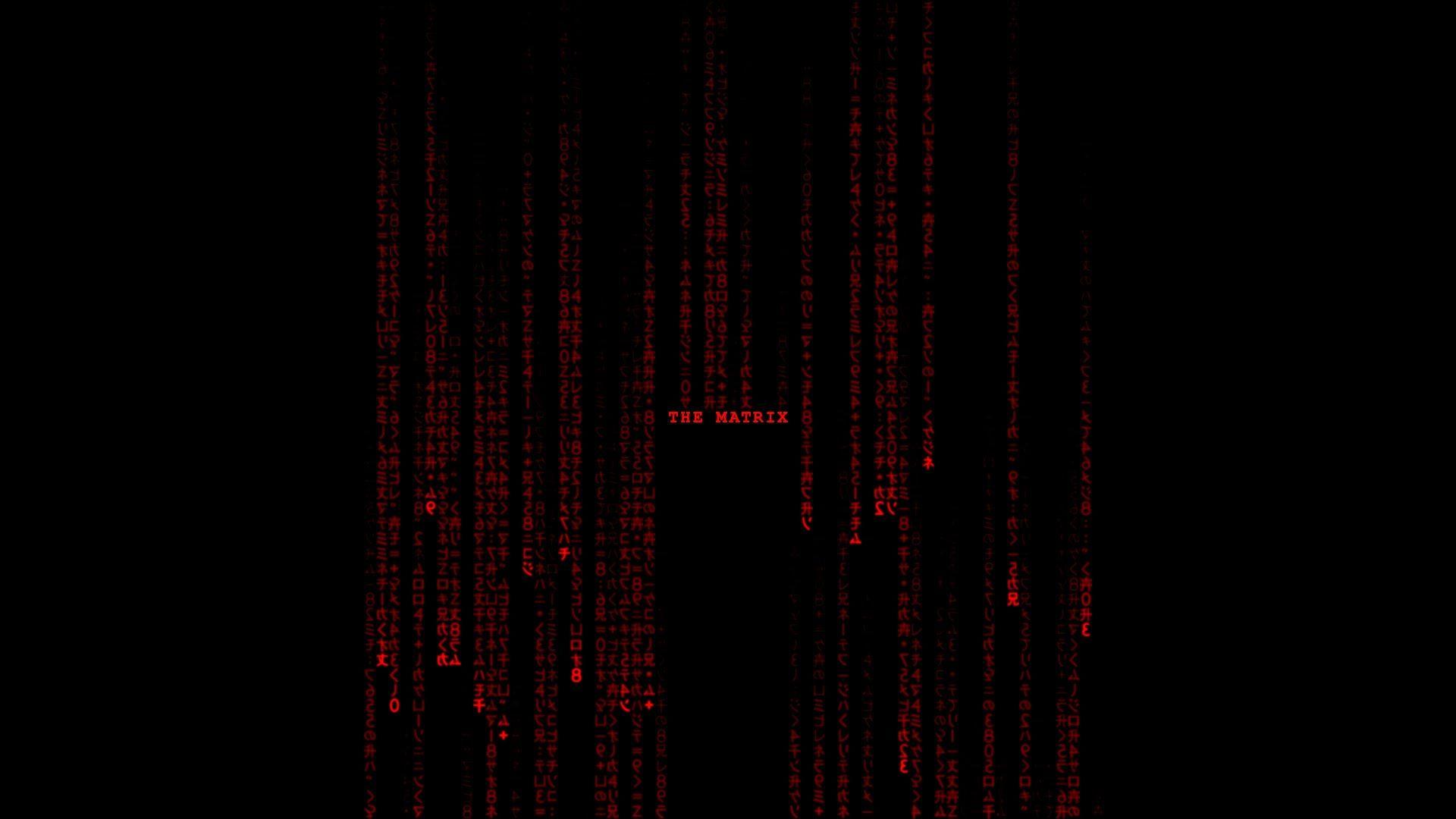 The Matrix Falling Code (Special Red Edition!) Sequence 1920