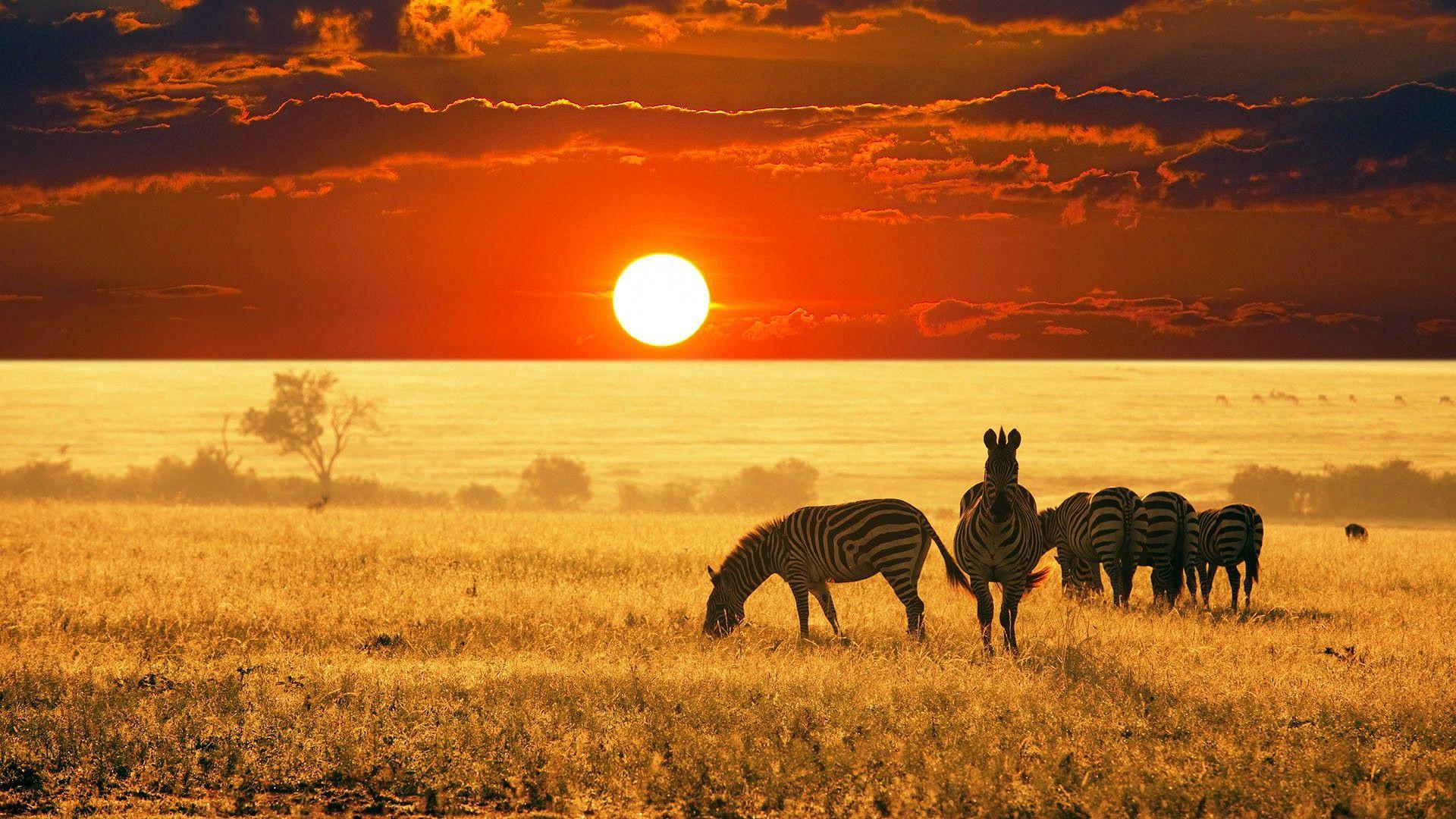 Sun Set in South Africa HD wallpaper