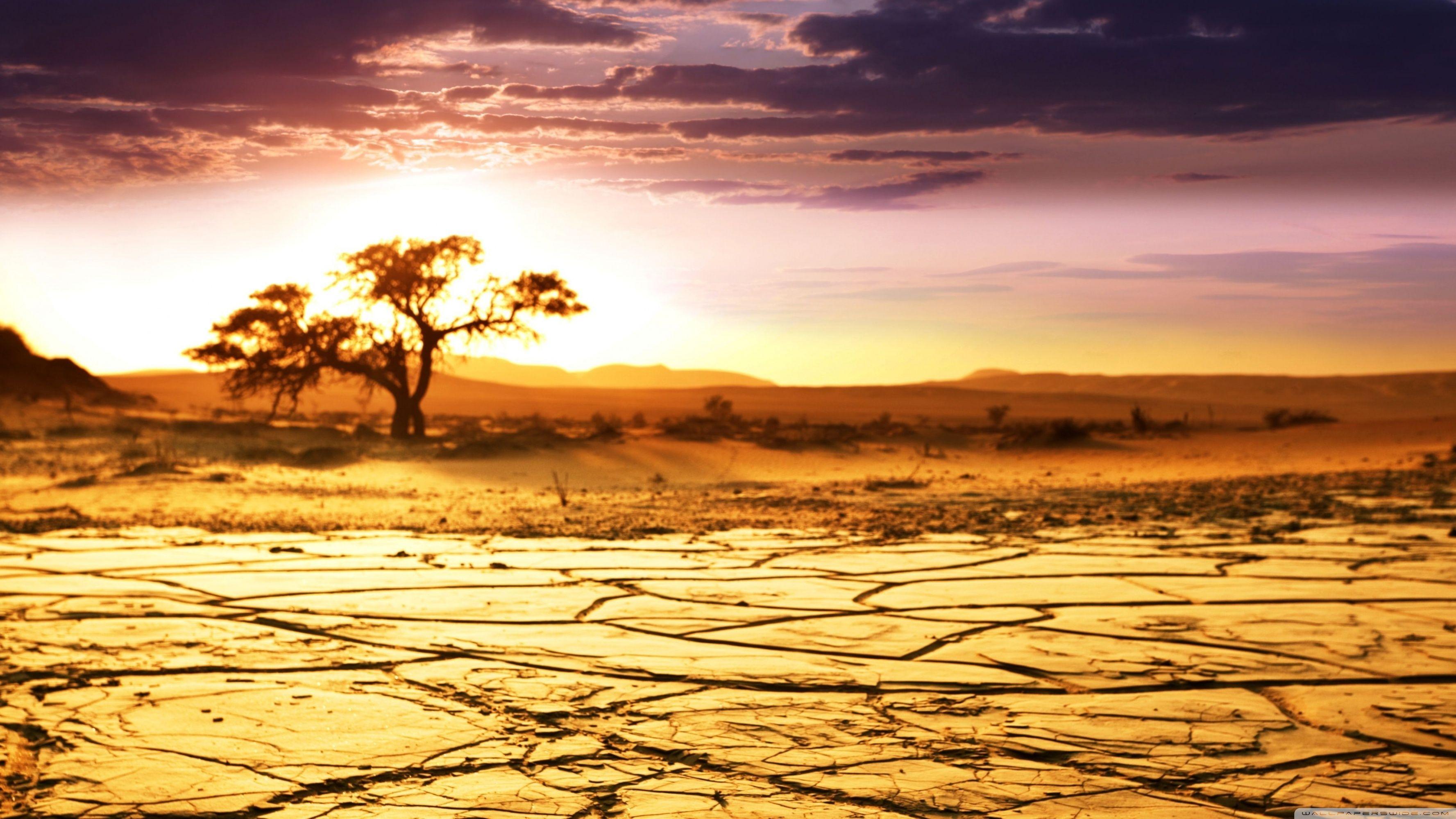 African Landscape ❤ 4K HD Desktop Wallpaper for 4K Ultra HD TV