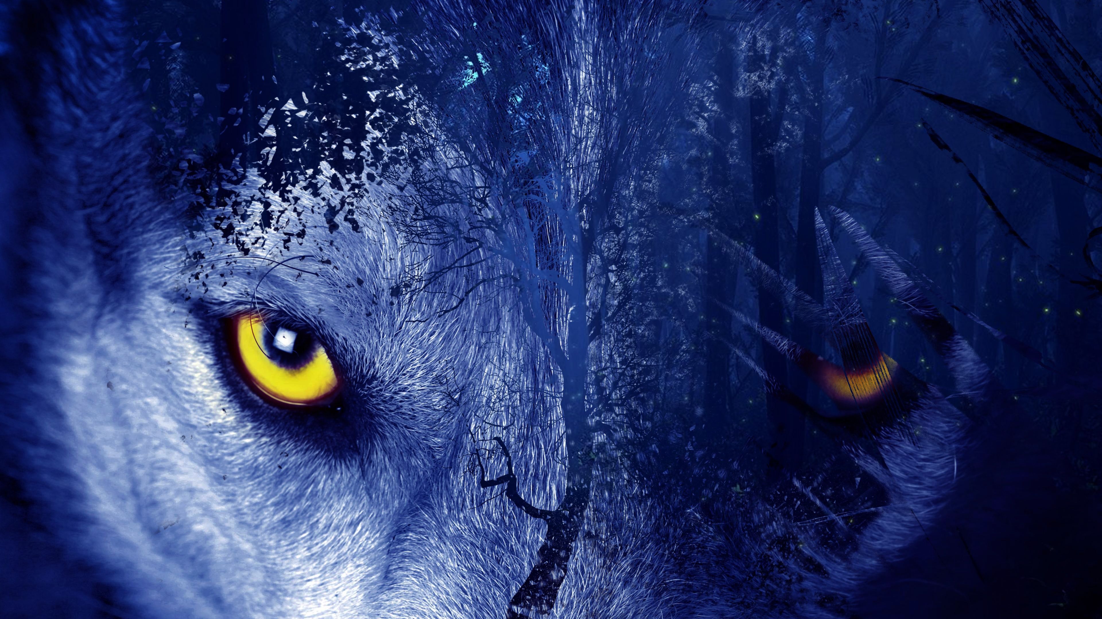 Wallpaper Wolf Eyes, Forest, Artistic