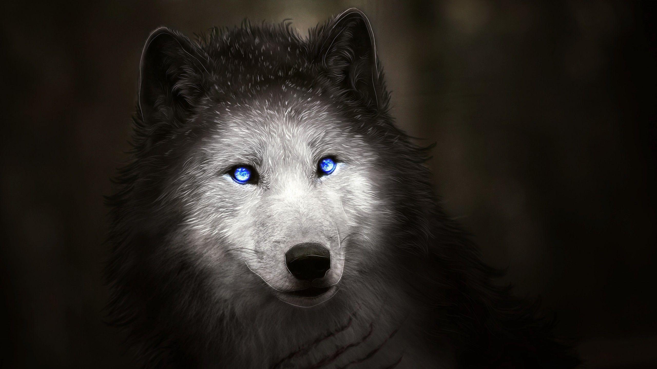 Wallpaper Wolf, Blue eyes, Digital art, HD, Creative Graphics