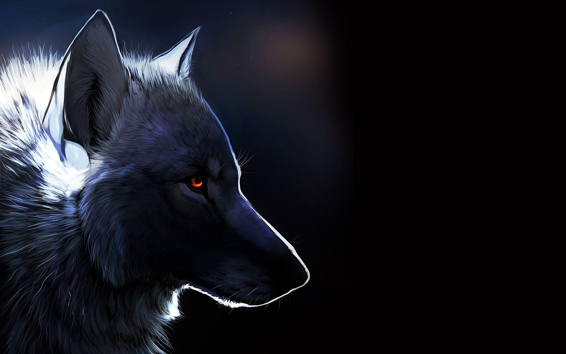 Wolf with glowing eyes wallpaper and image, picture