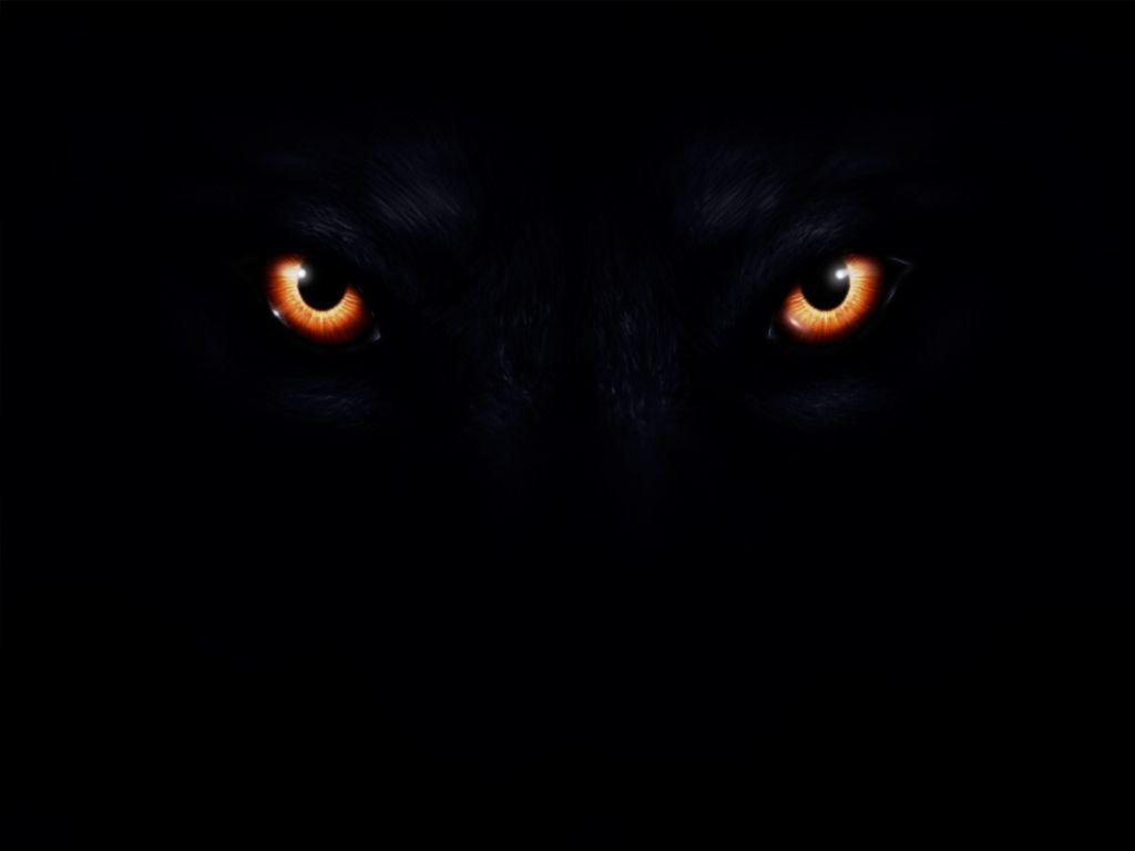 Wolf Eyes:. image