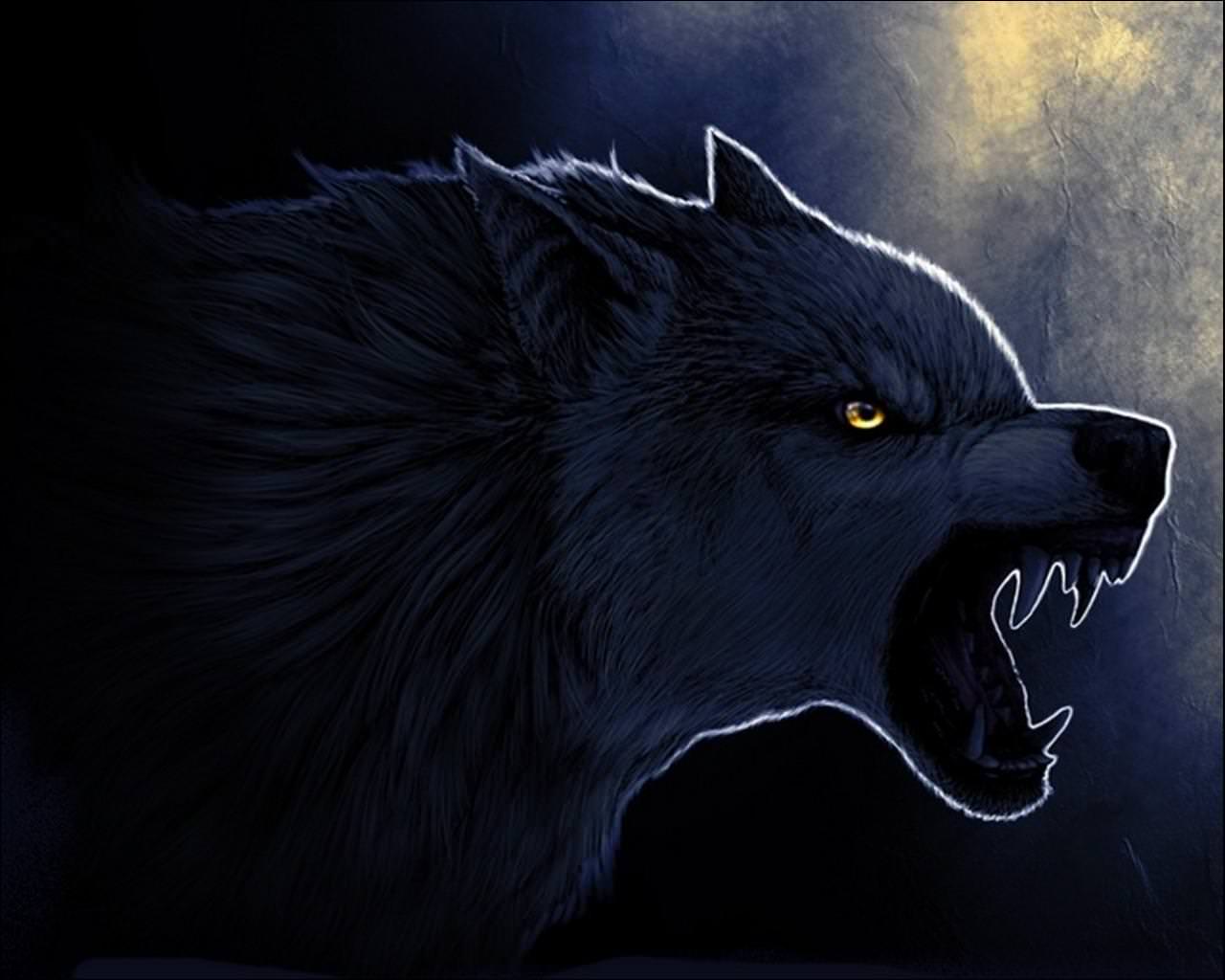 Wolf with Yellow Eyes wallpapers from Werewolf wallpapers.