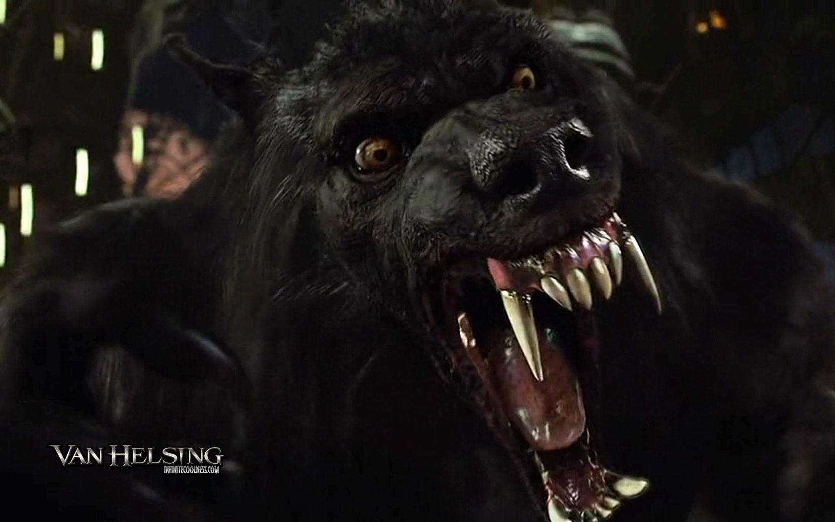 Van Helsing Werewolf Wallpaper HD Resolution Earthly Wallpaper 1080p