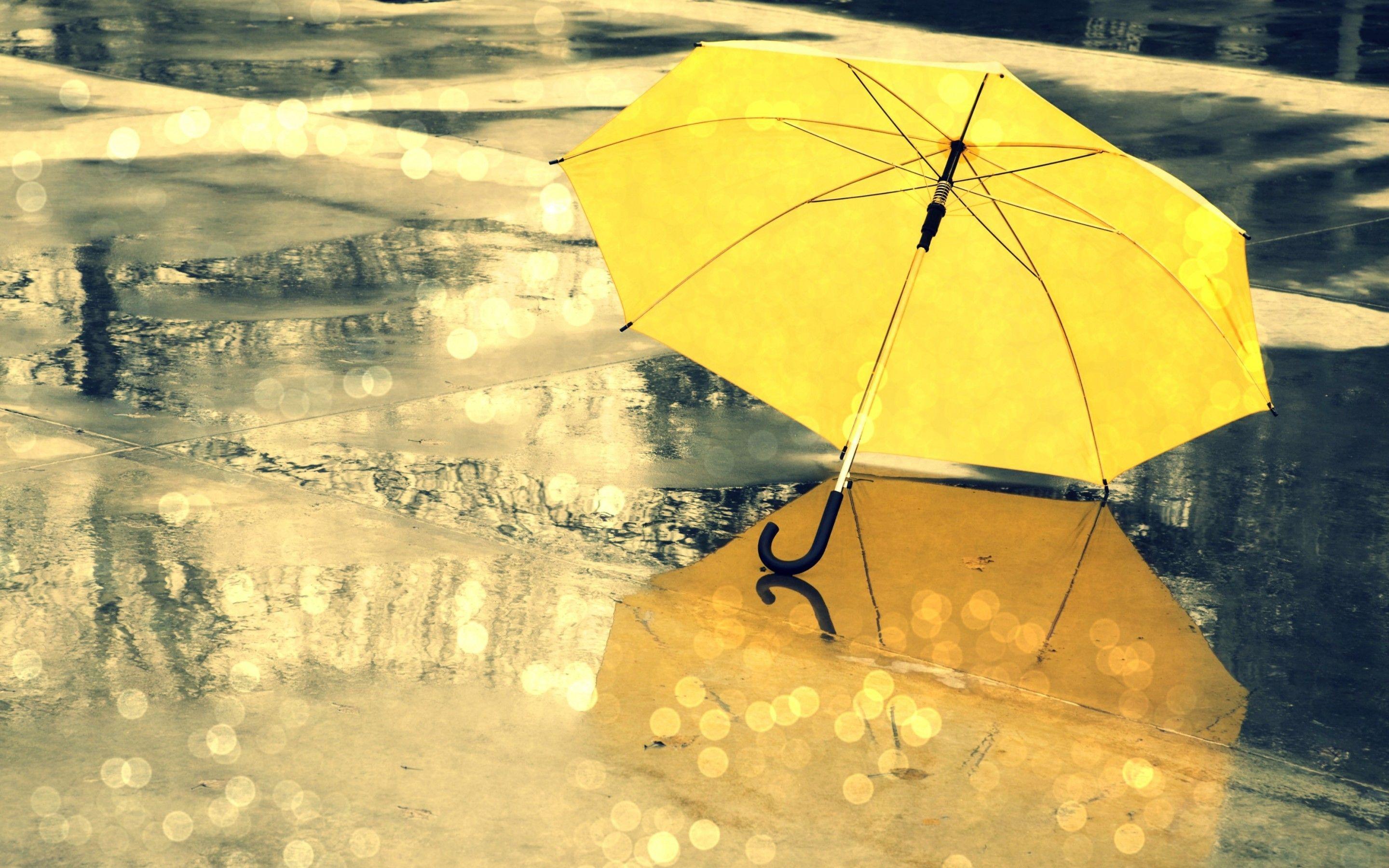 rain and umbrella background