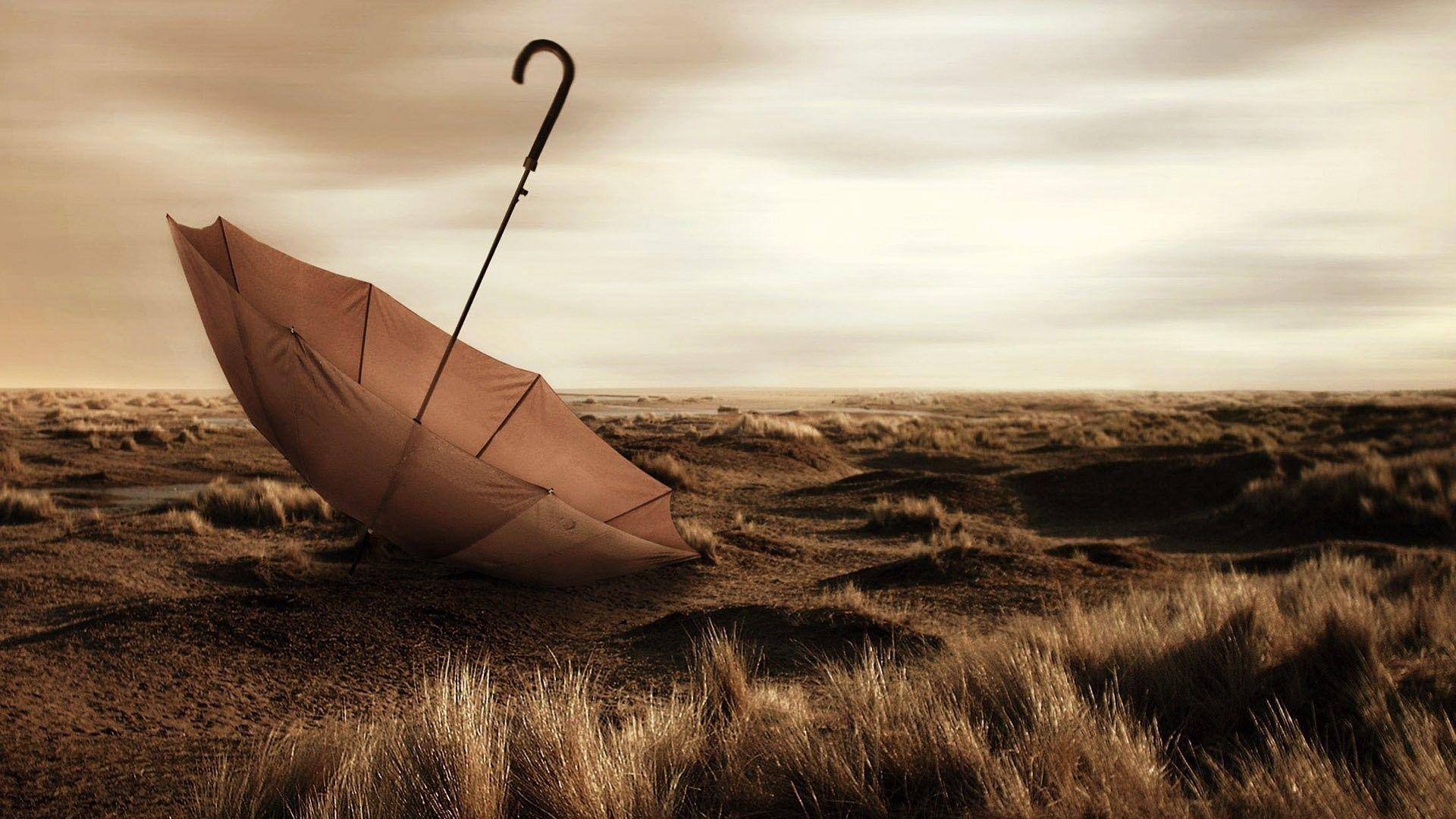 Download wallpaper 1920x1080 umbrella, grass, drop, rain full HD