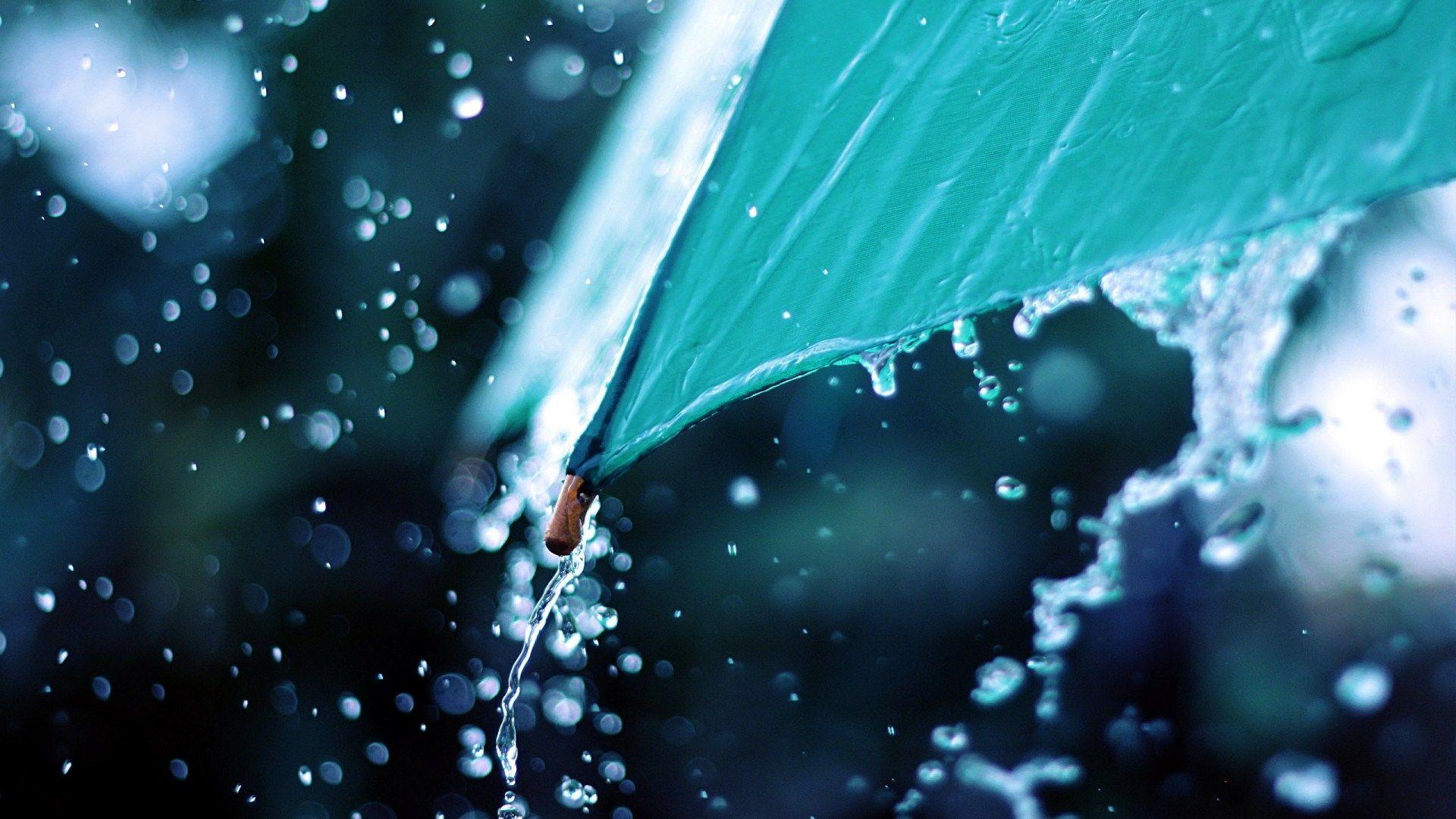 Drop, Rain, Umbrella HD Wallpaper & Background • 30419 • Wallur