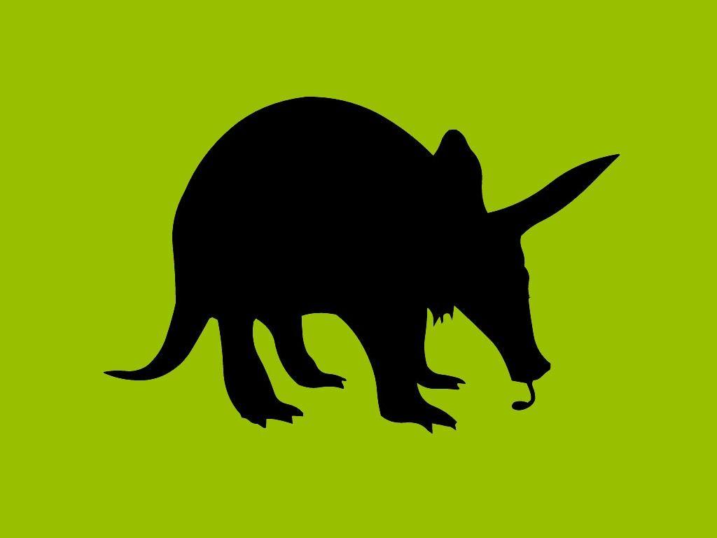 Aardvark Wallpaper
