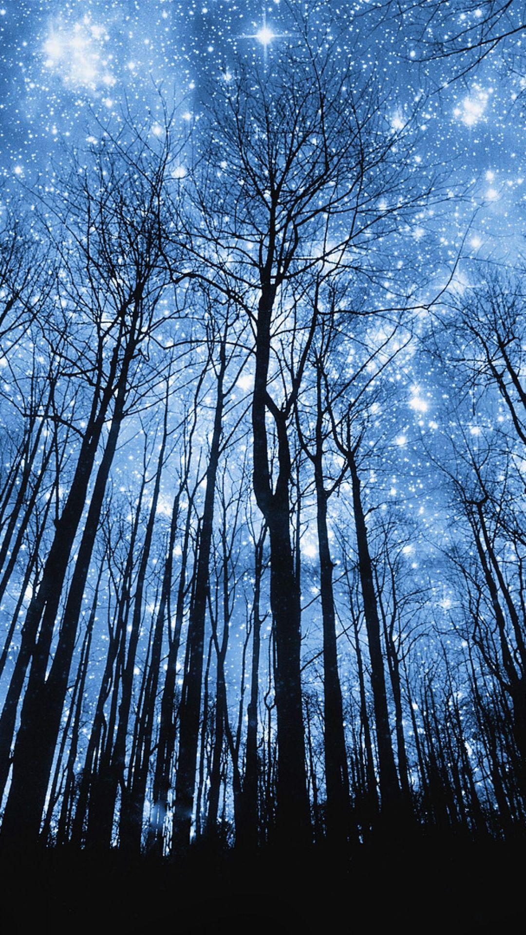 Forest in the #Starry Night. Cool iPhone Wallpaper