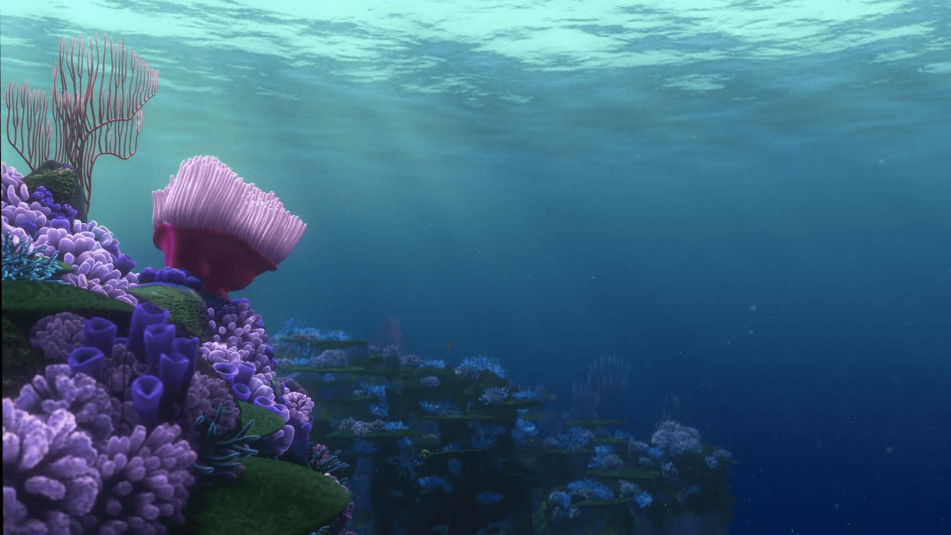 Finding Nemo Computer Wallpapers Desktop Backgrounds 1920x1200 Id ...