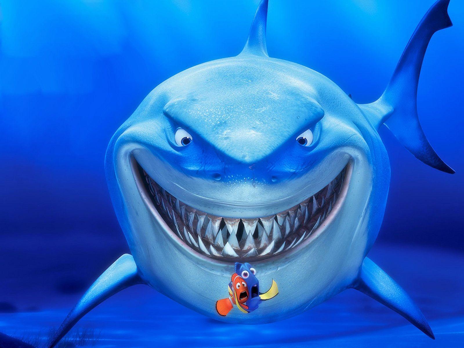 Finding Nemo Bruce Shark Free Wallpaper HD