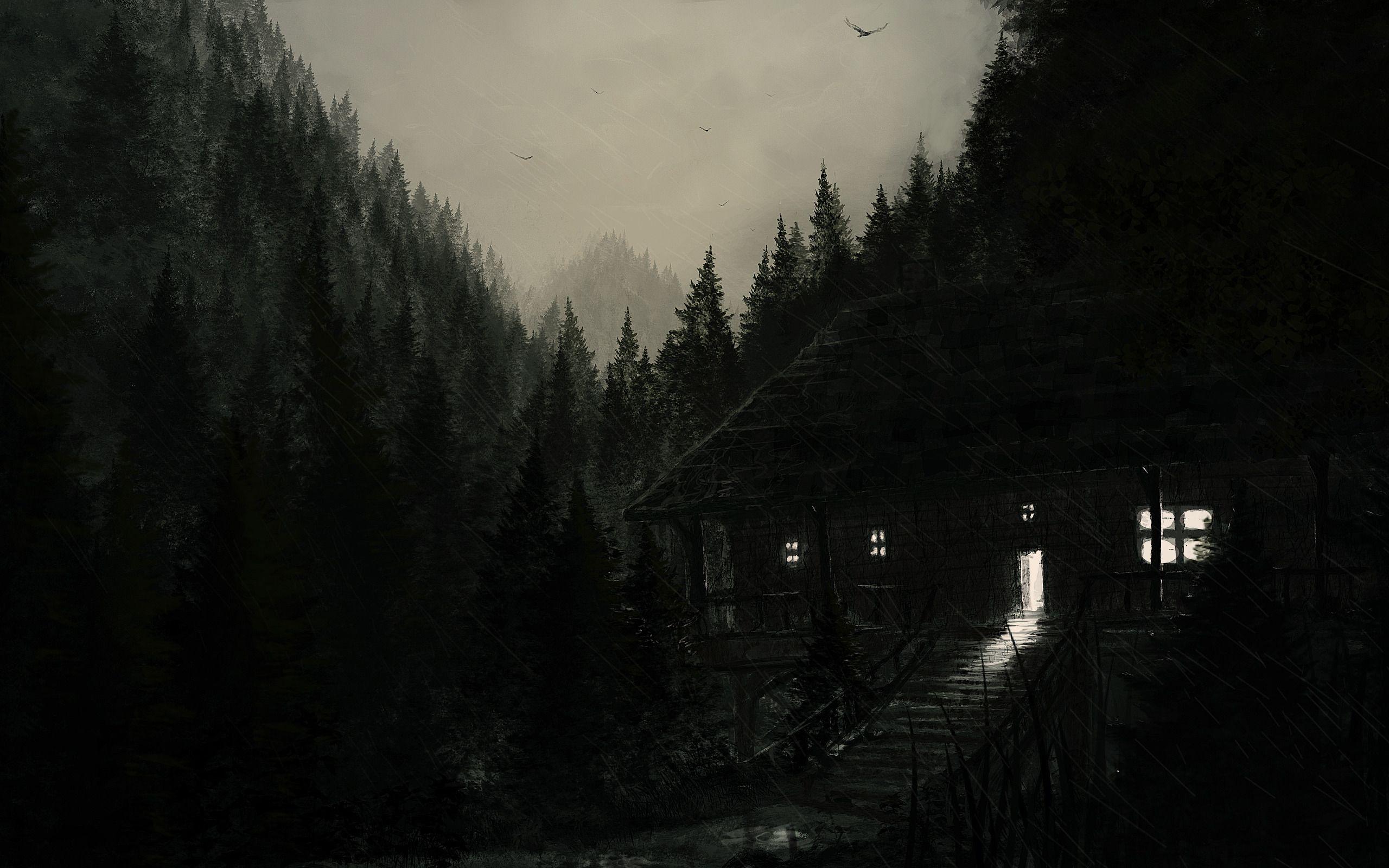 Dark Woods Wallpaper HD. Dark, obscure and intriguing