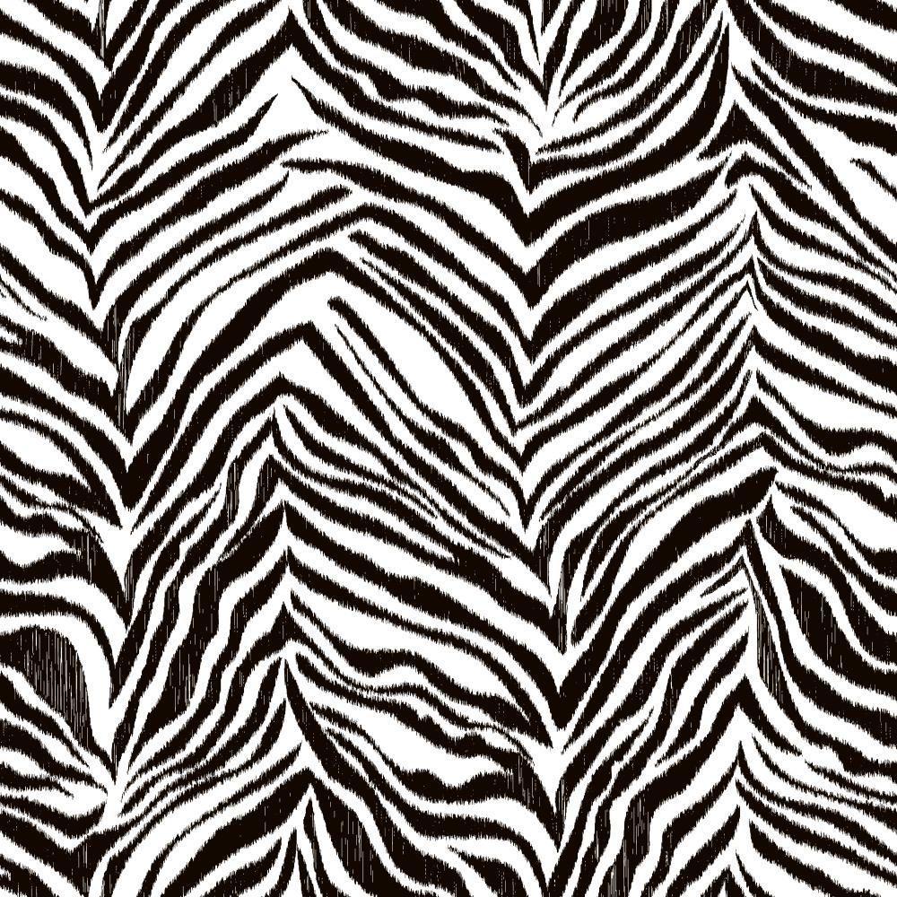 Zebra Wallpapers - Wallpaper Cave