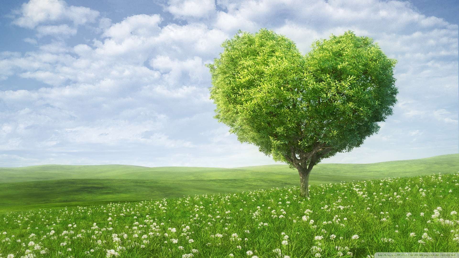 Love Nature Wallpapers HD - Wallpaper Cave