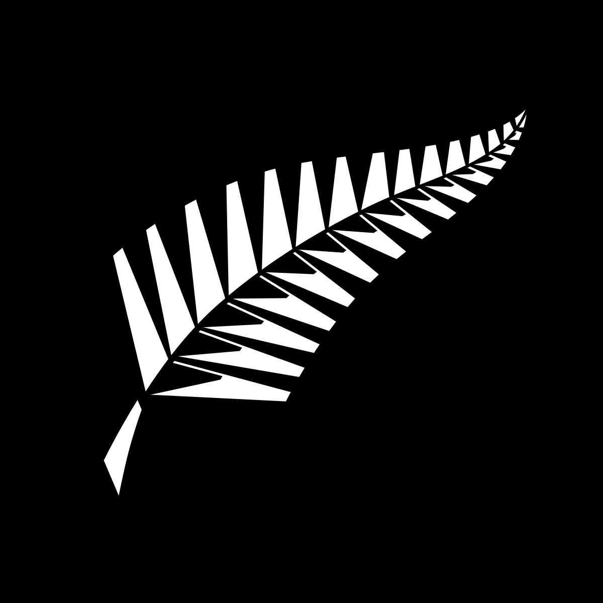New Zealand Rugby Wallpapers Wallpaper Cave