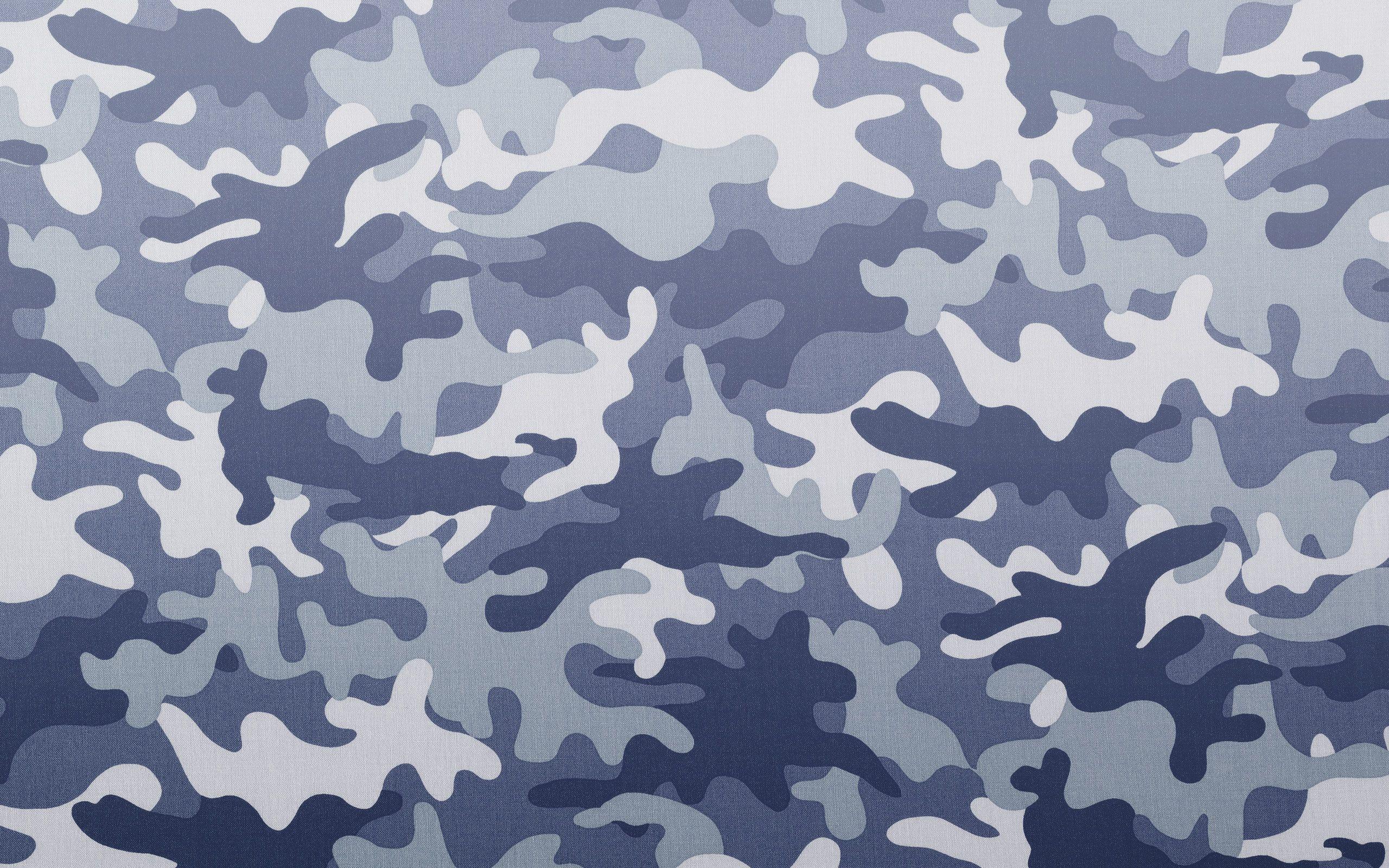 Military Camouflage Pattern Eighteen. Photo Texture & Background