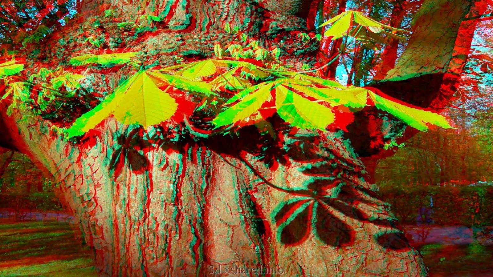 3D Glasses Wallpaper Foliage