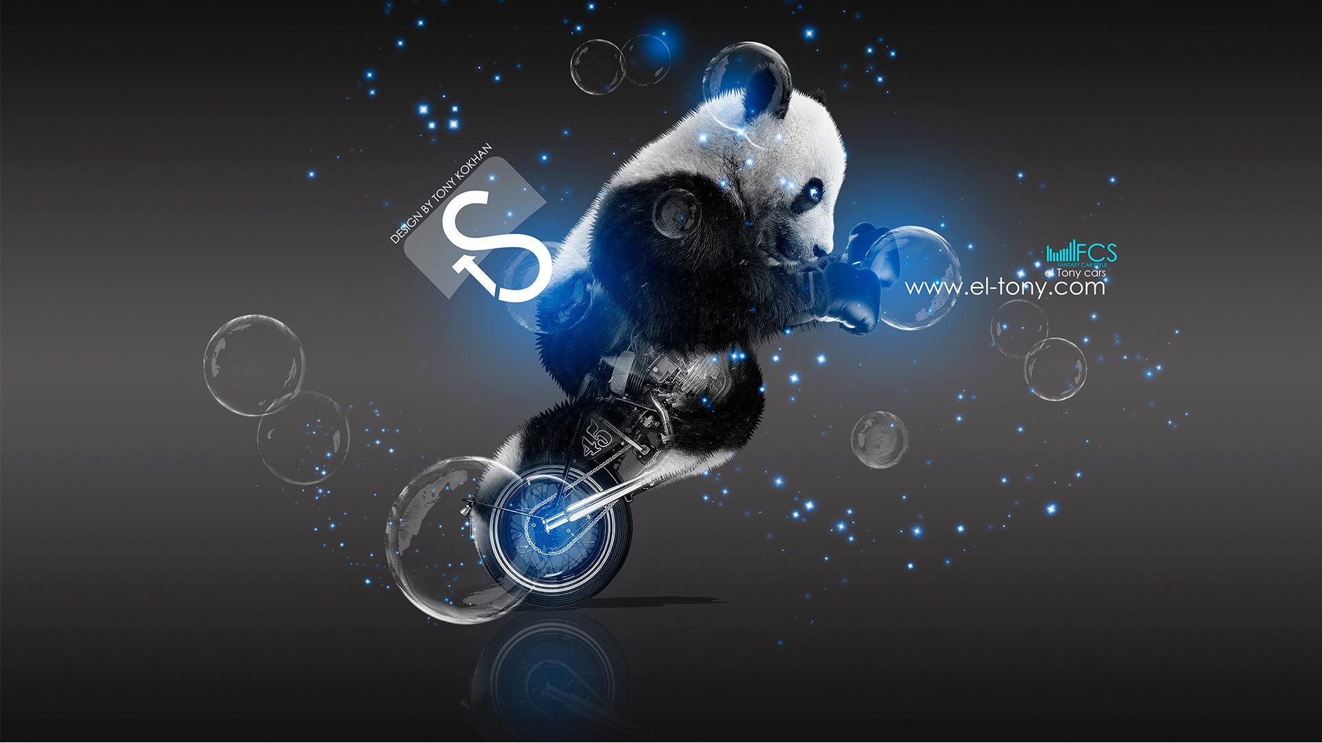 Moto Retro Fantasy Panda Blue Boxing Art 2013 HD Wallpaper By Tony