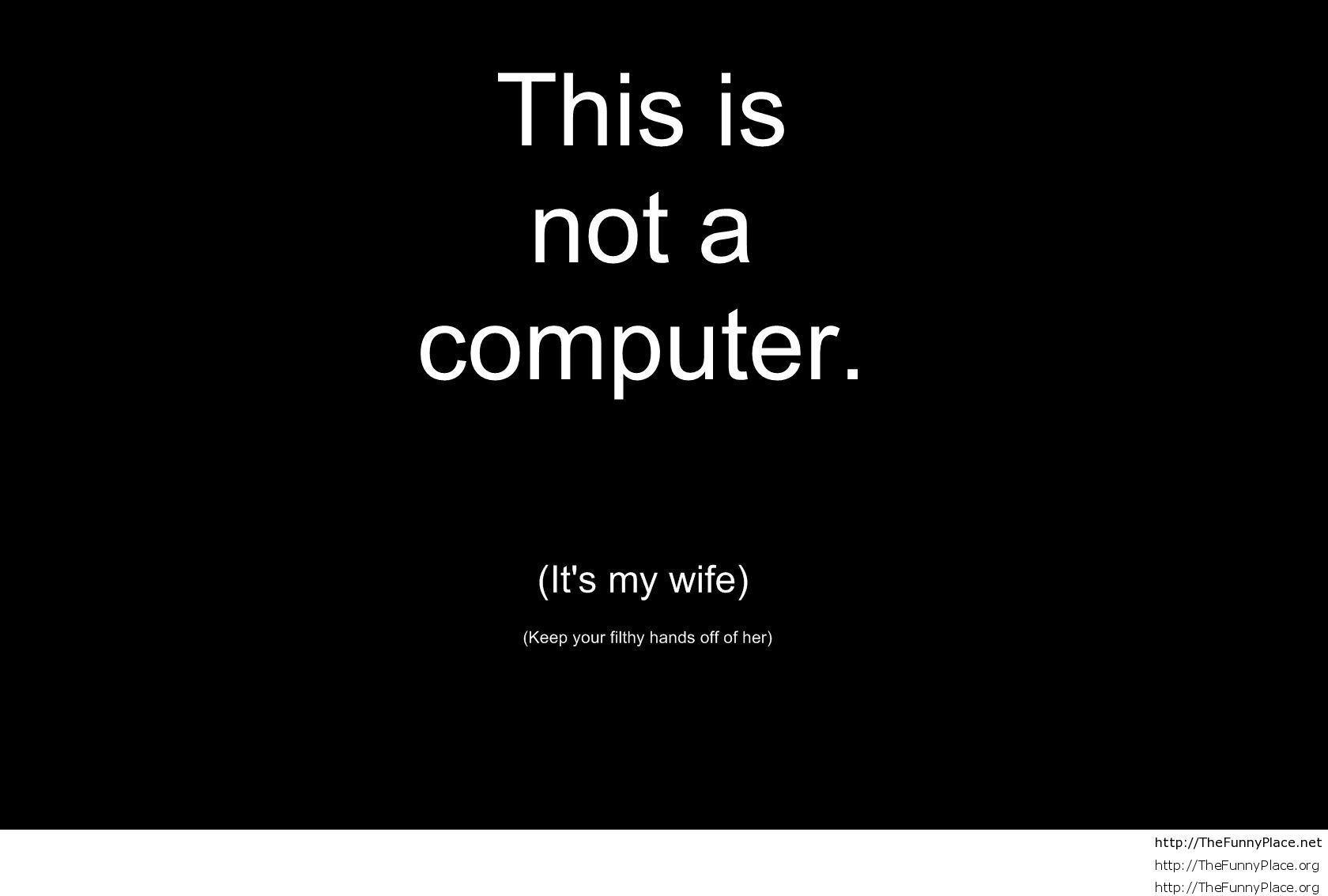 Funny Wallpaper 2014 image picture. Free Download Wallpaper