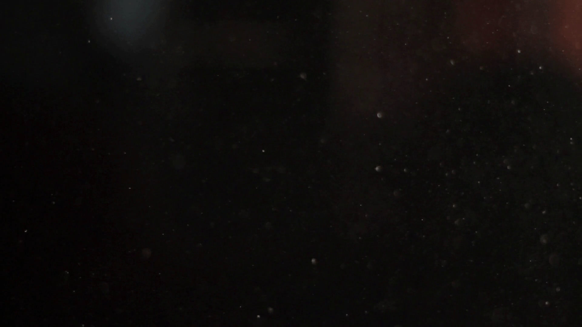 Dust Particles on Black Background slowly fly Stock Video Footage