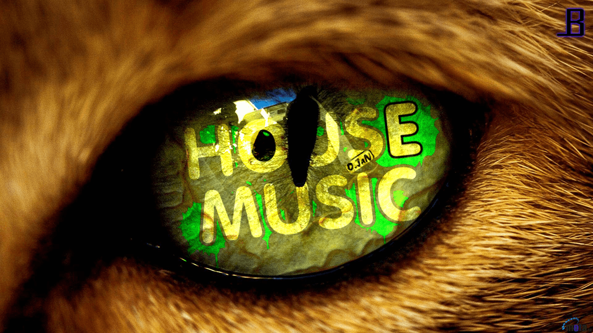 House Music wallpaper (HD)