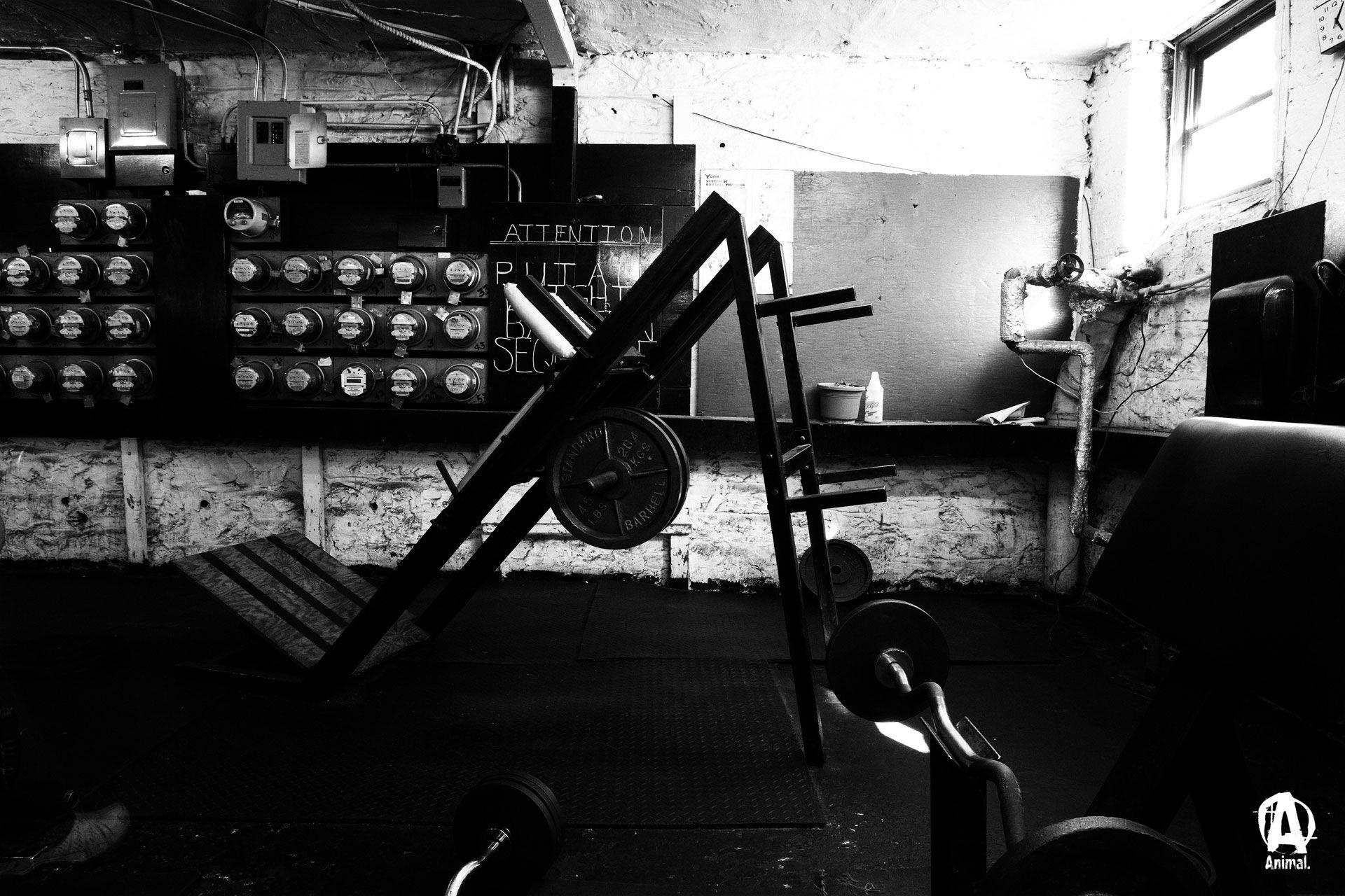 Gym Full HD Wallpaper and Background Imagex1280