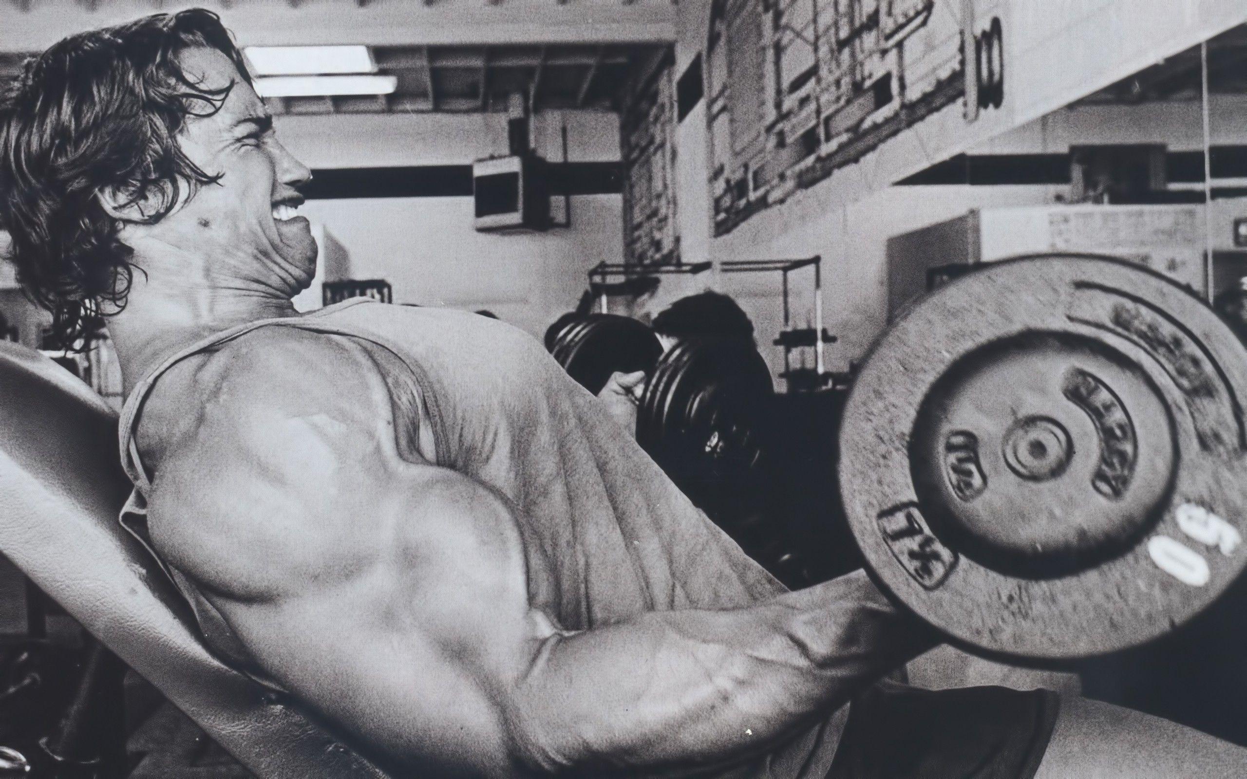 sports, gym, Arnold Schwarzenegger, actors, bodybuilding wallpaper