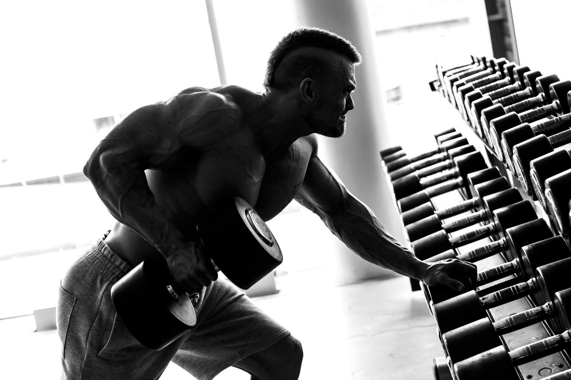 bodybuilding muscle gym bodybuilder HD wallpaper
