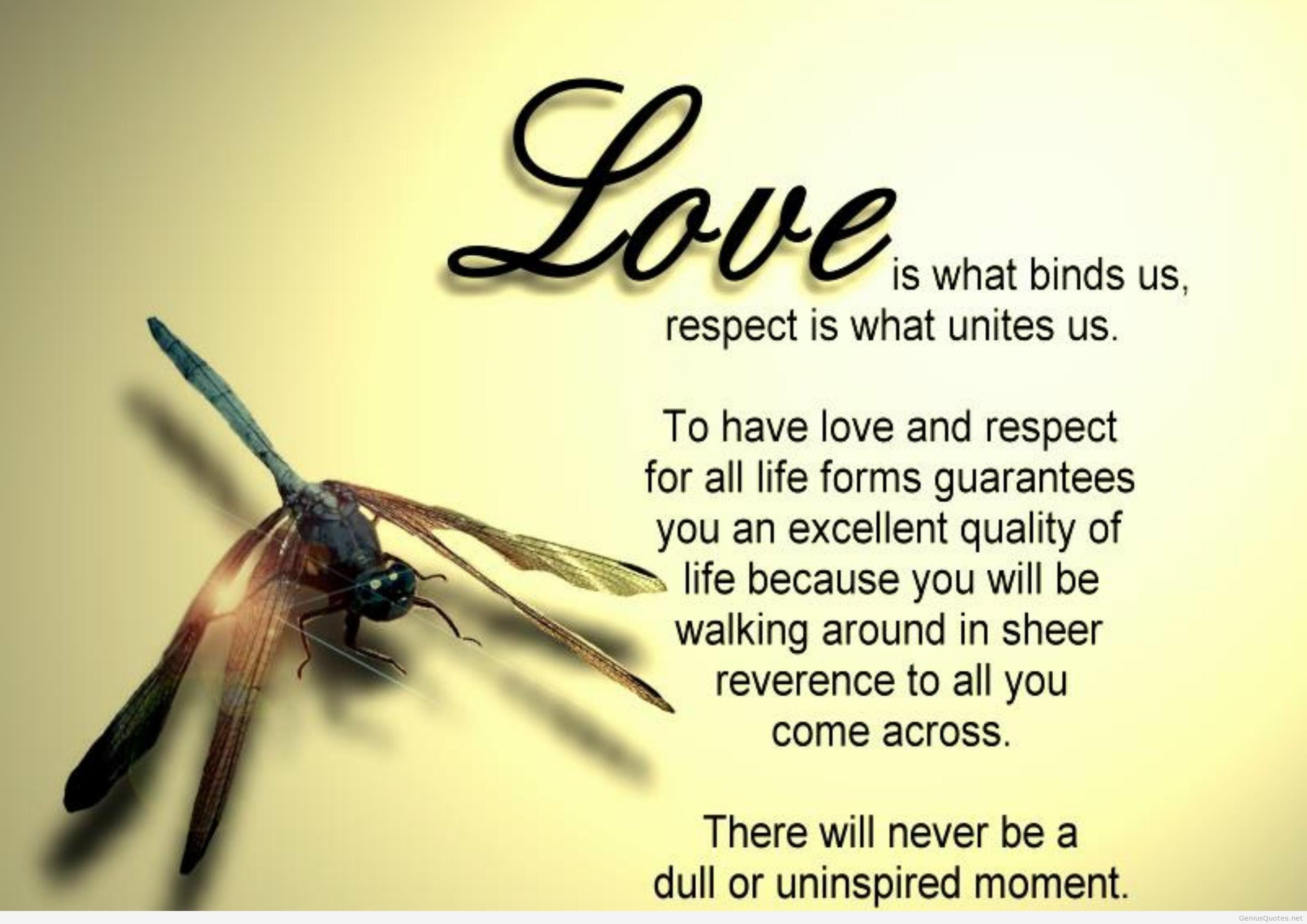 New Love Wallpaper With Quotes With Letter Pr Love Quote Letter