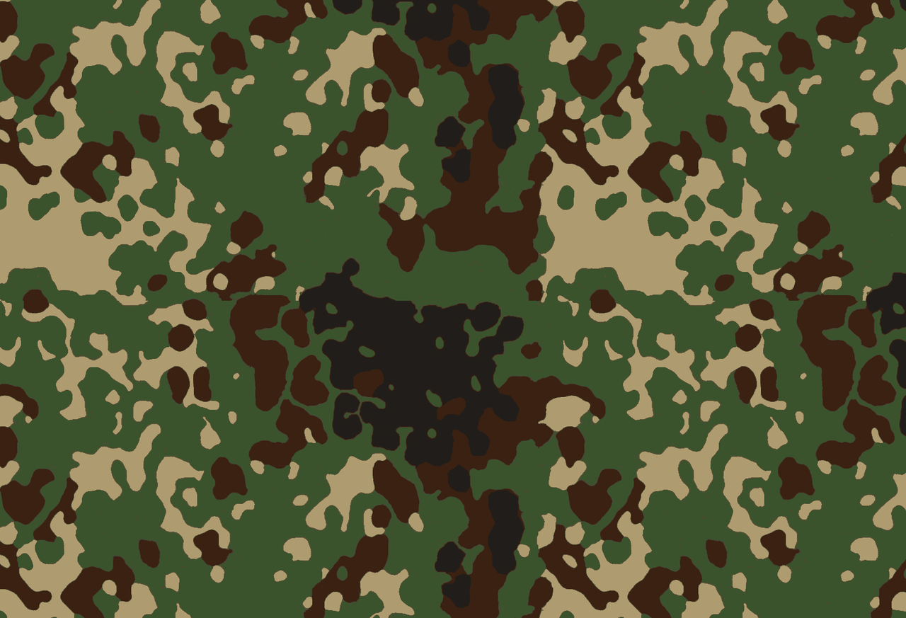 Japanese Flecktarn Jieitai Camouflage. Camouflage
