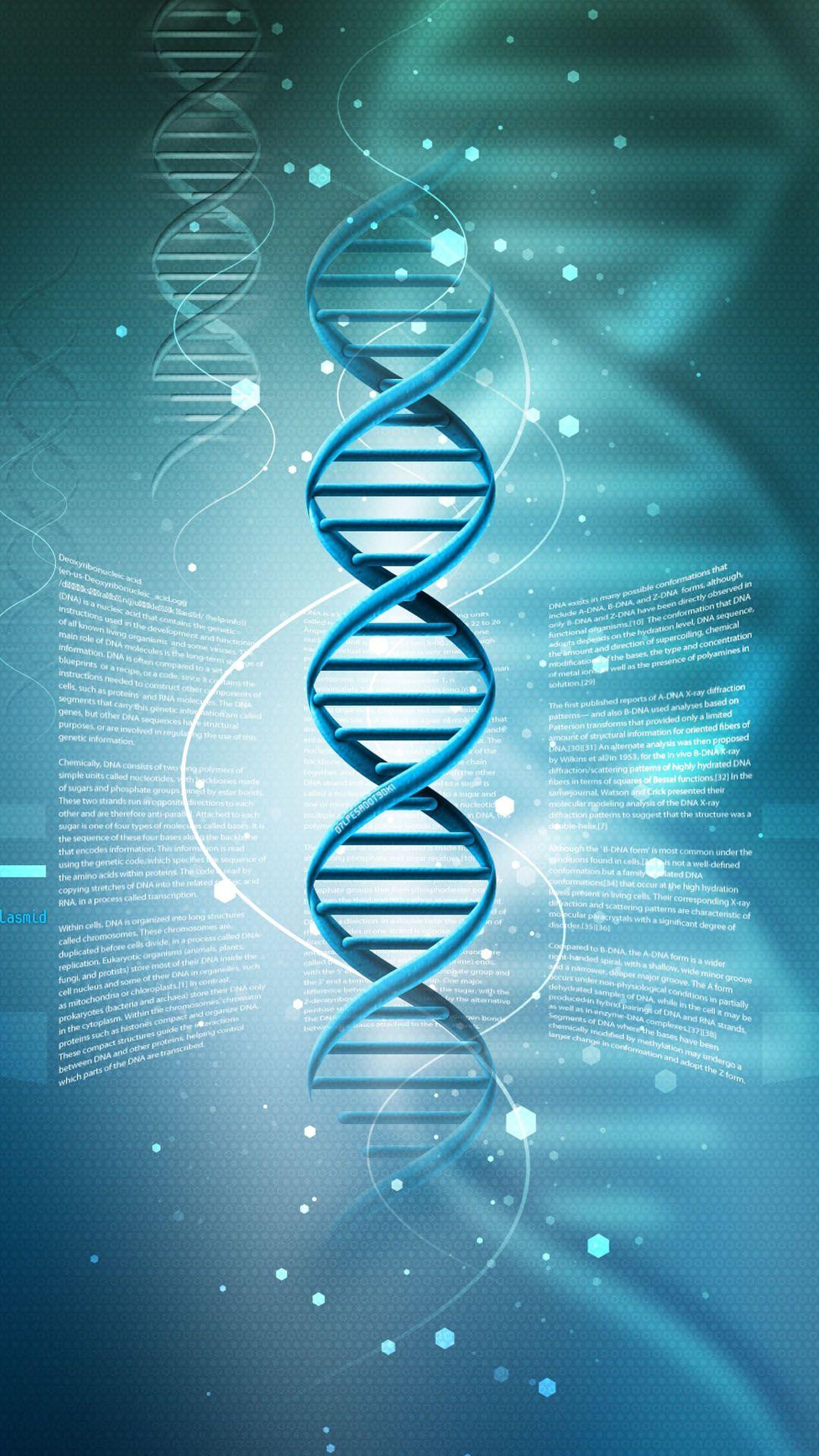 3D DNA IPhone 6 6 Plus And IPhone 5 4 Wallpaper