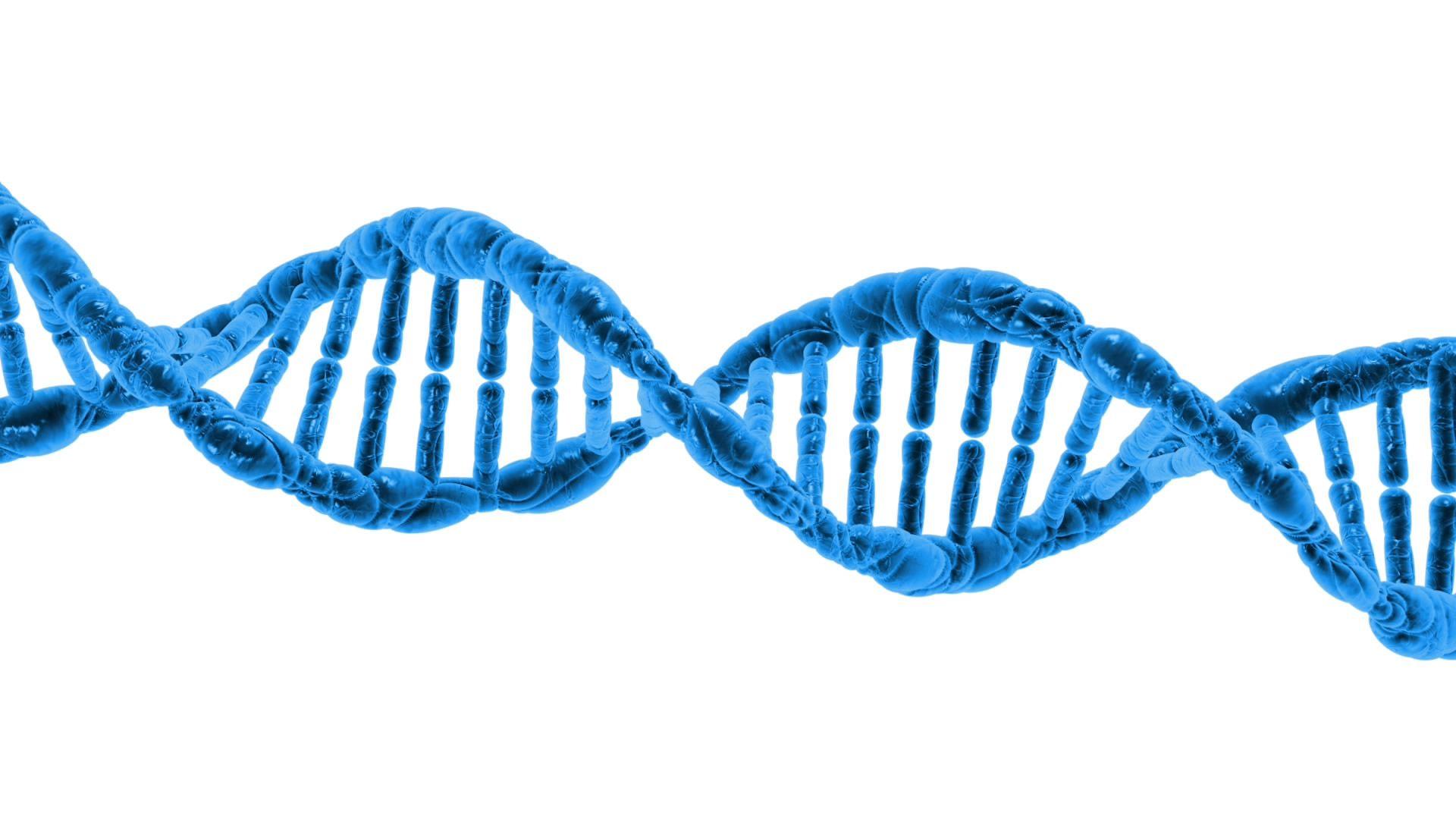 Dna Free Domain Picture