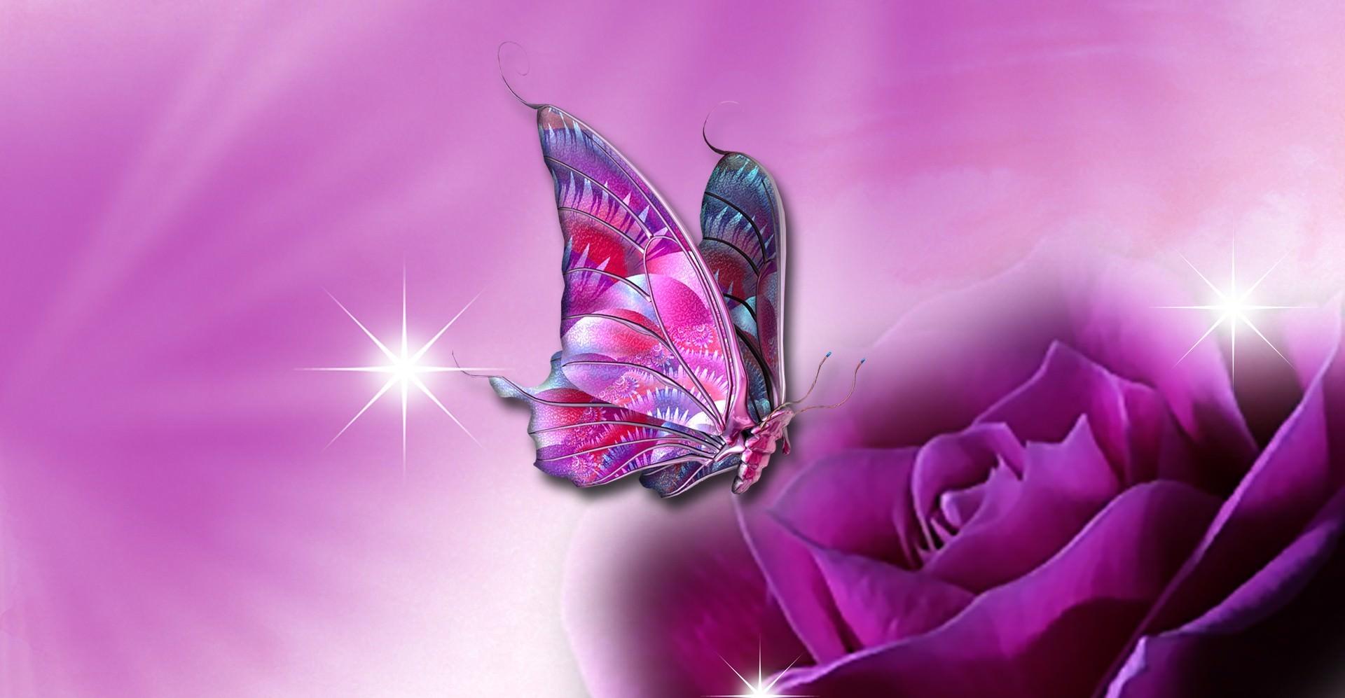 Cute Butterfly with Pink Rose HD Free Wallpaper
