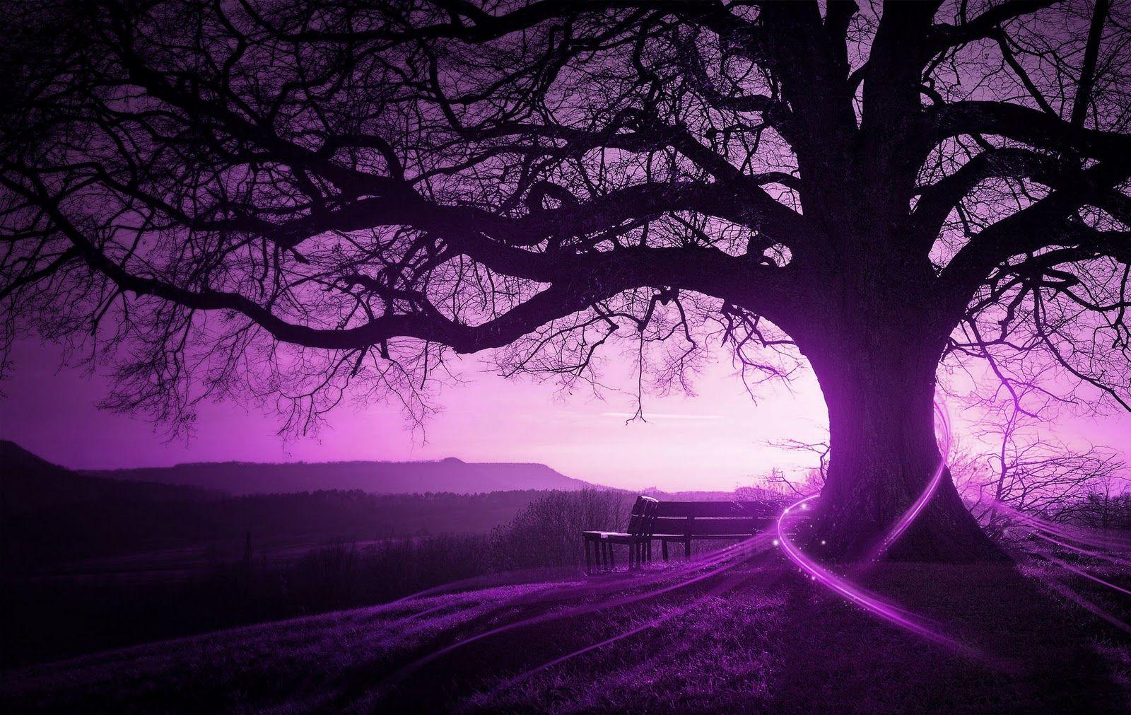Purple Landscape
